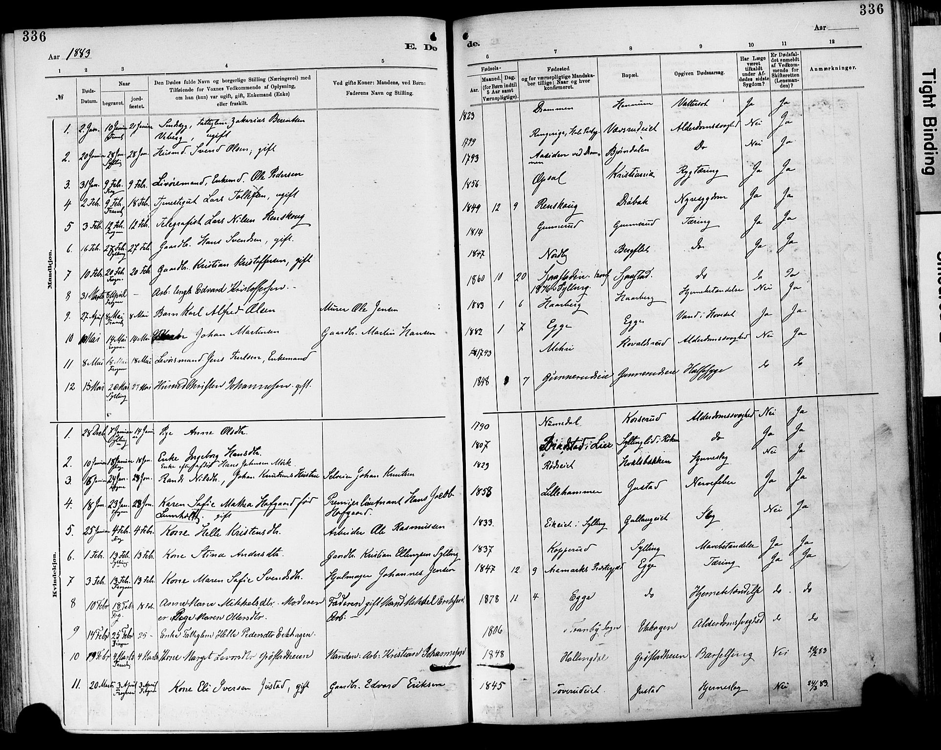 Lier kirkebøker, AV/SAKO-A-230/F/Fa/L0015: Parish register (official) no. I 15, 1883-1894, p. 336