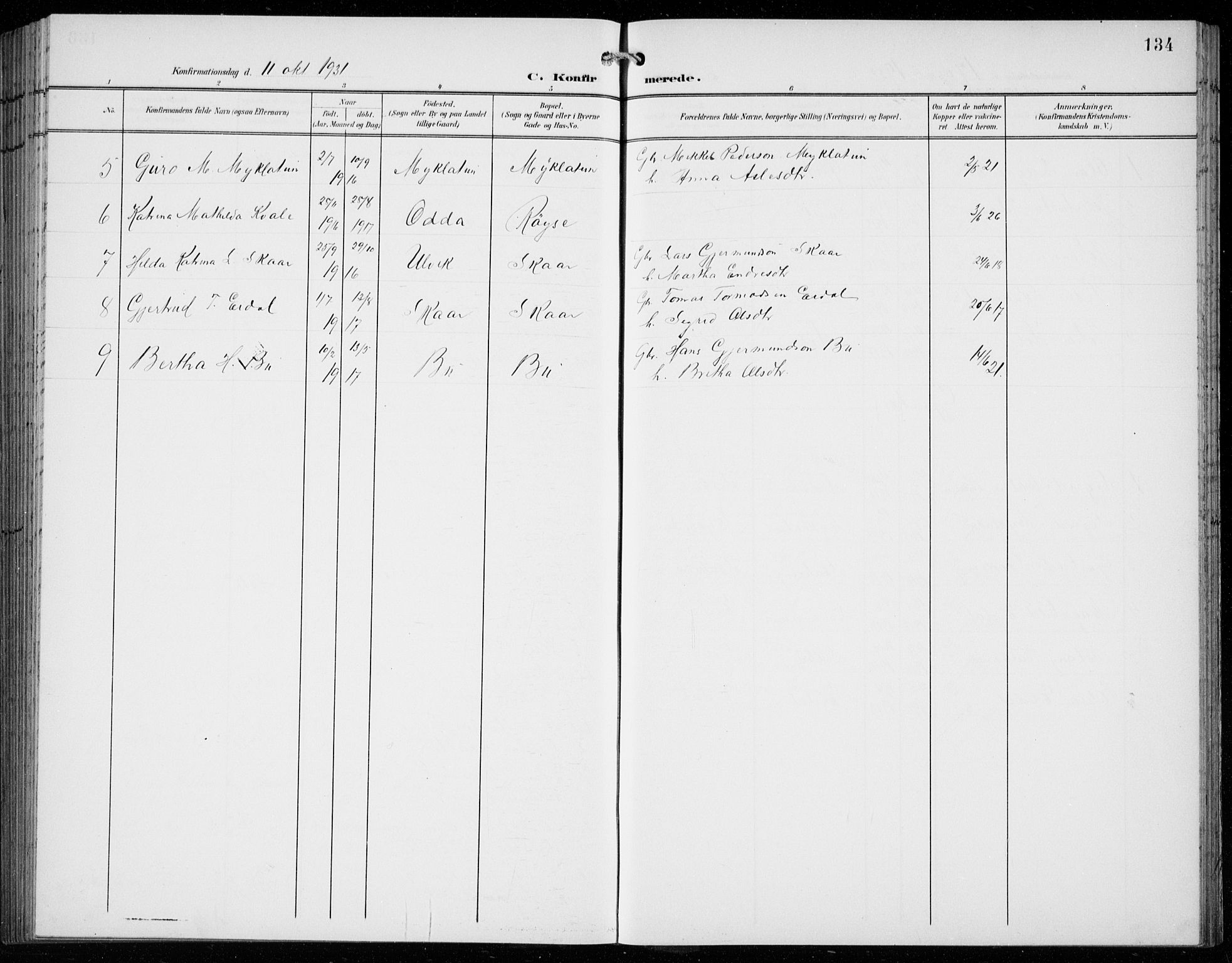 Ullensvang sokneprestembete, SAB/A-78701/H/Hab: Parish register (copy) no. C  3, 1899-1932, p. 134