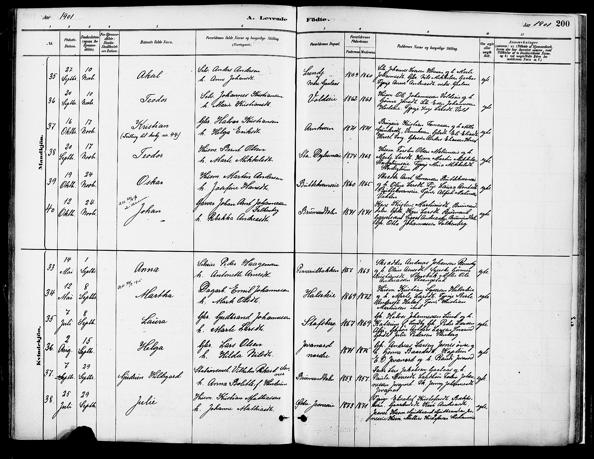 Vang prestekontor, Hedmark, AV/SAH-PREST-008/H/Ha/Haa/L0018A: Parish register (official) no. 18A, 1880-1906, p. 200