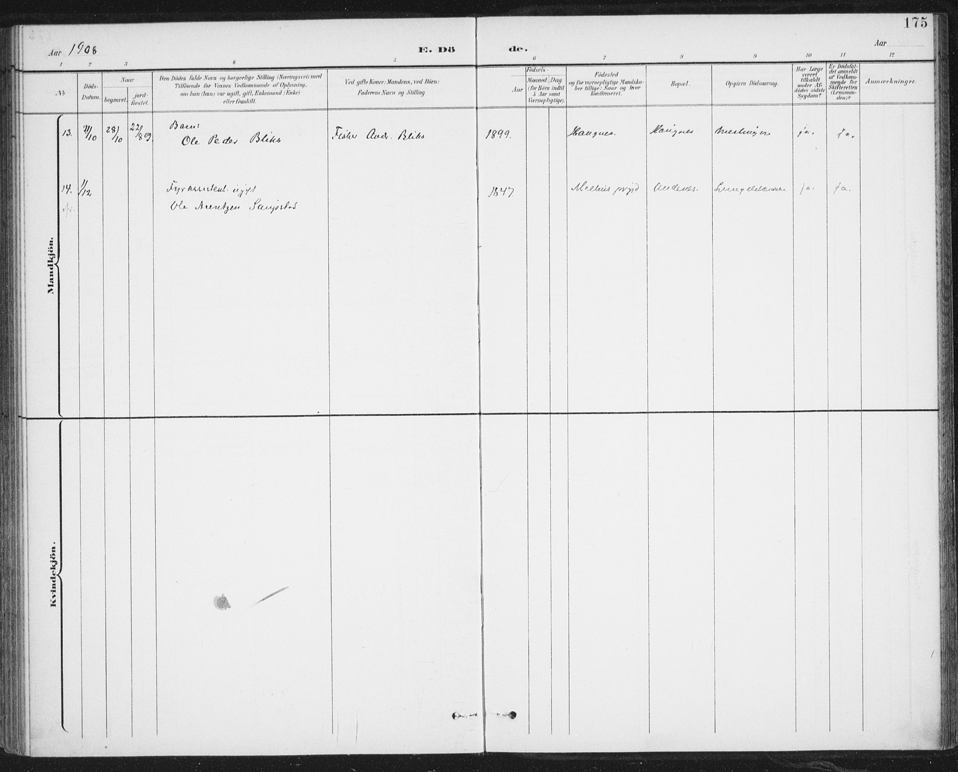 Ministerialprotokoller, klokkerbøker og fødselsregistre - Nordland, AV/SAT-A-1459/899/L1437: Parish register (official) no. 899A05, 1897-1908, p. 175