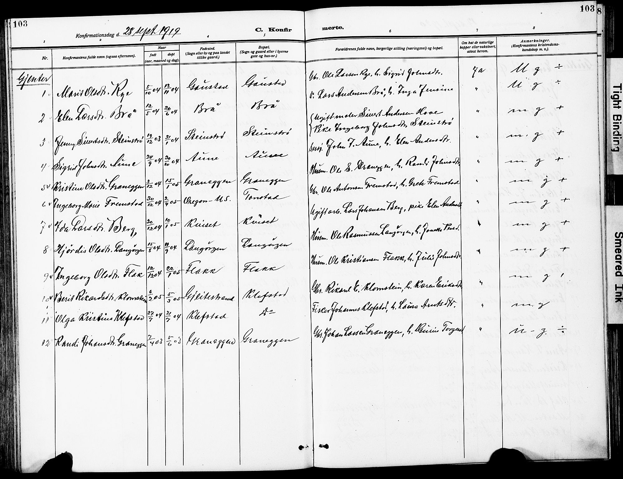 Ministerialprotokoller, klokkerbøker og fødselsregistre - Sør-Trøndelag, SAT/A-1456/612/L0388: Parish register (copy) no. 612C04, 1909-1929, p. 103