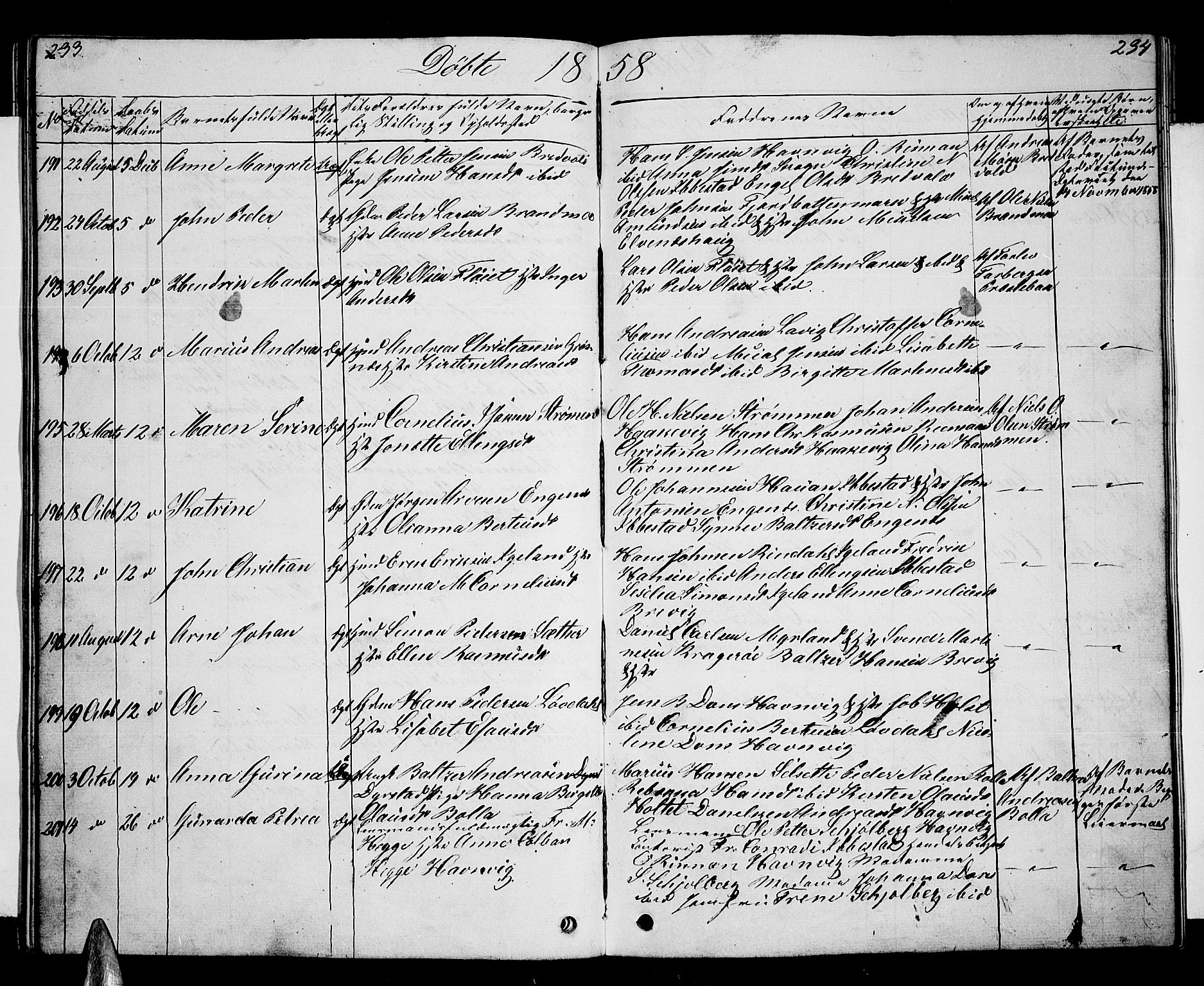 Ibestad sokneprestembete, SATØ/S-0077/H/Ha/Hab/L0004klokker: Parish register (copy) no. 4, 1852-1860, p. 233-234