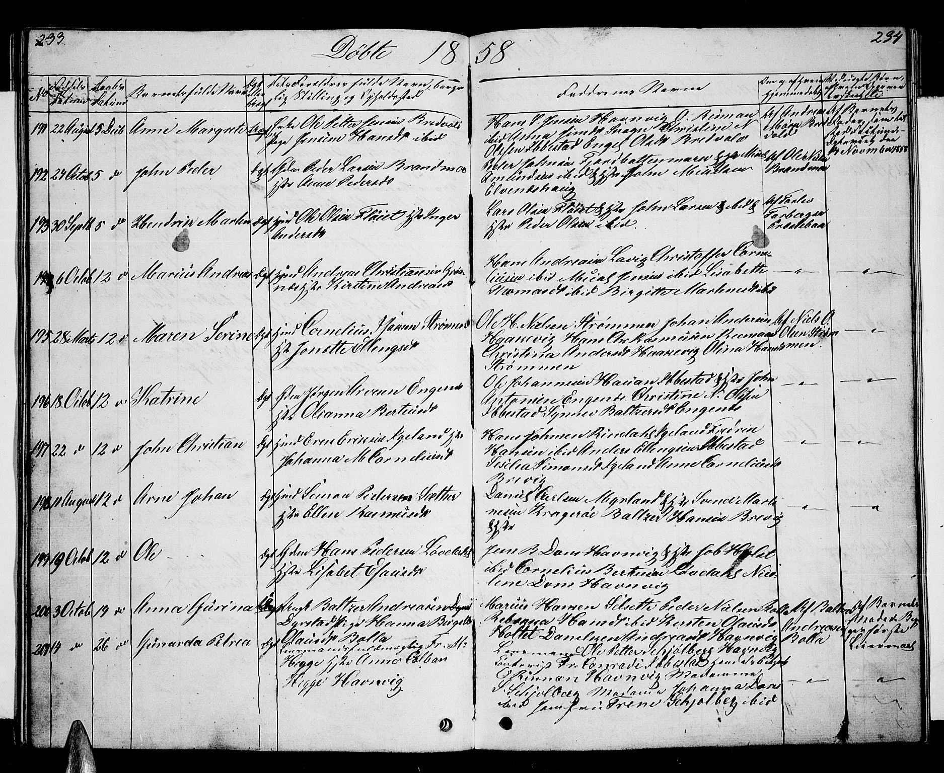 Ibestad sokneprestembete, AV/SATØ-S-0077/H/Ha/Hab/L0004klokker: Parish register (copy) no. 4, 1852-1860, p. 233-234
