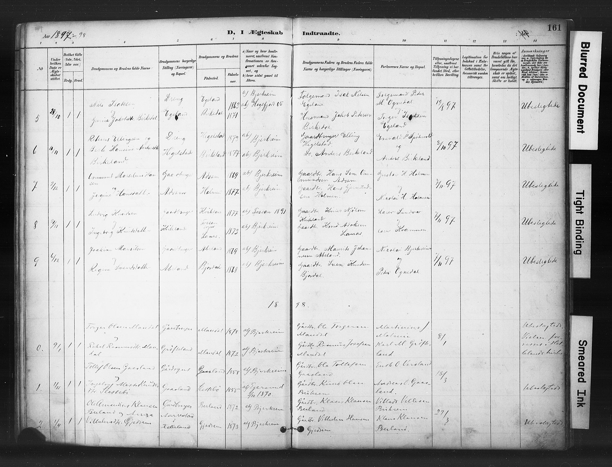 Helleland sokneprestkontor, AV/SAST-A-101810: Parish register (copy) no. B 5, 1887-1908, p. 161