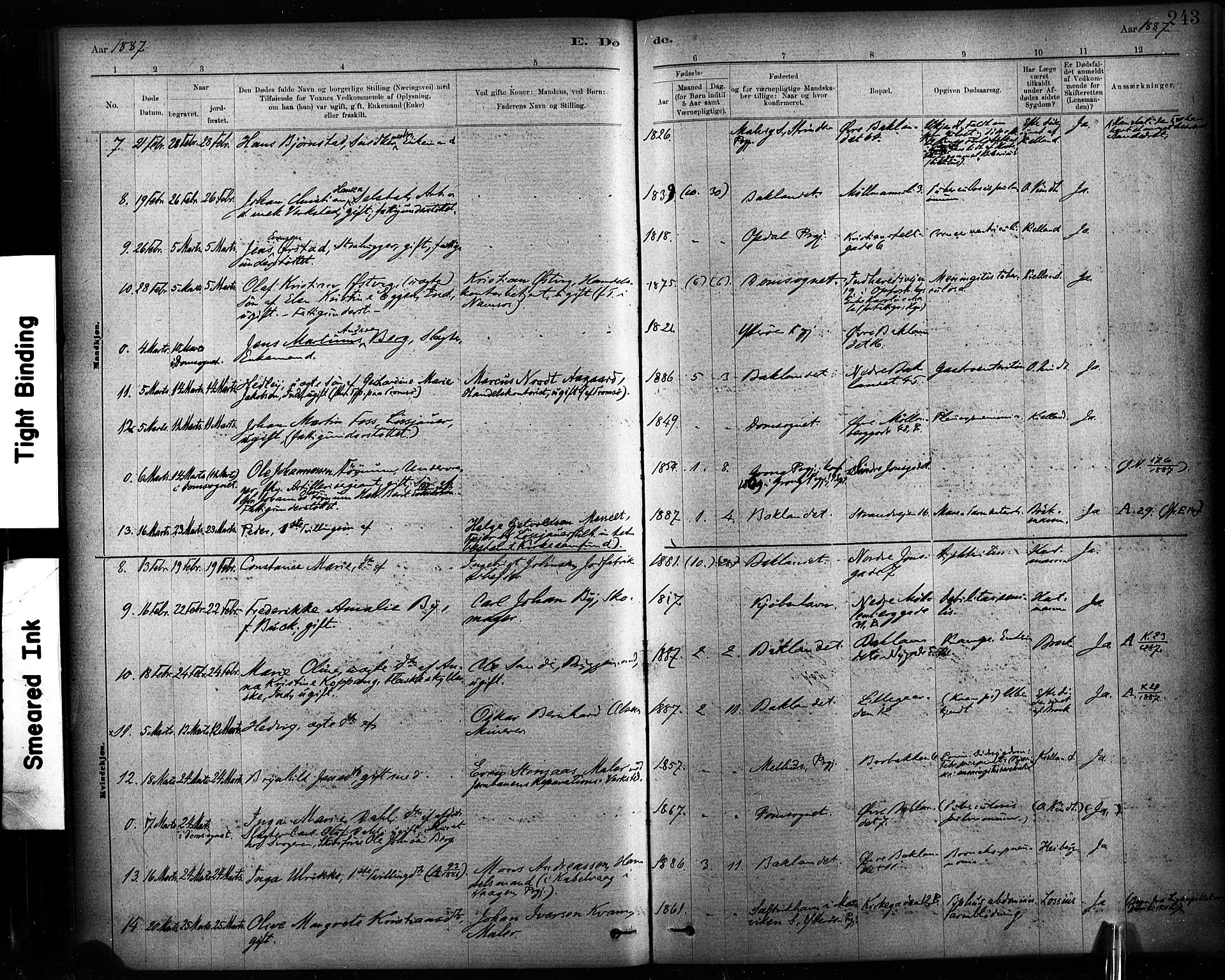 Ministerialprotokoller, klokkerbøker og fødselsregistre - Sør-Trøndelag, SAT/A-1456/604/L0189: Parish register (official) no. 604A10, 1878-1892, p. 243