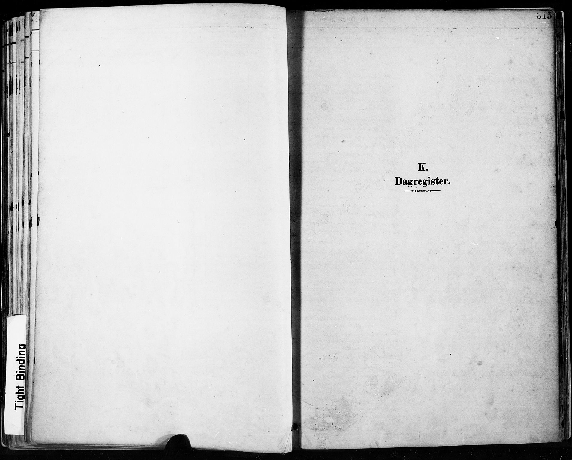 Høyland sokneprestkontor, SAST/A-101799/001/30BA/L0013: Parish register (official) no. A 13.2, 1889-1898, p. 315
