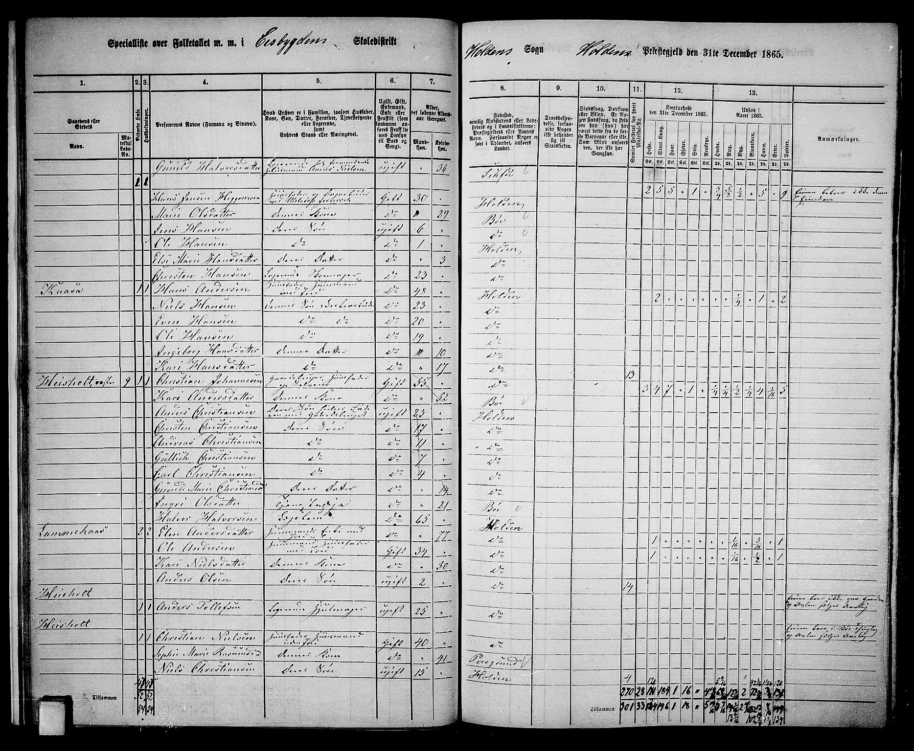 RA, 1865 census for Holla, 1865, p. 21