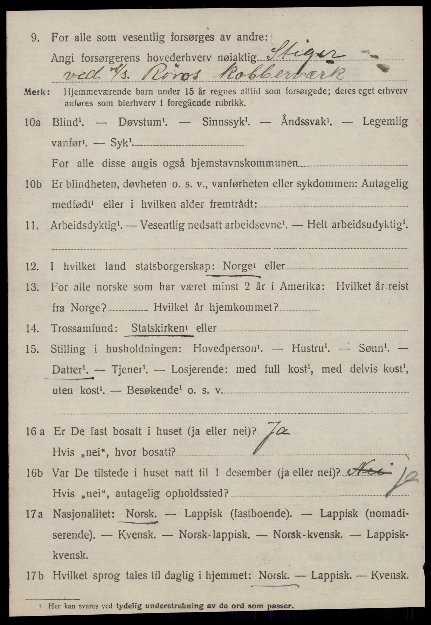 SAT, 1920 census for Røros, 1920, p. 8537