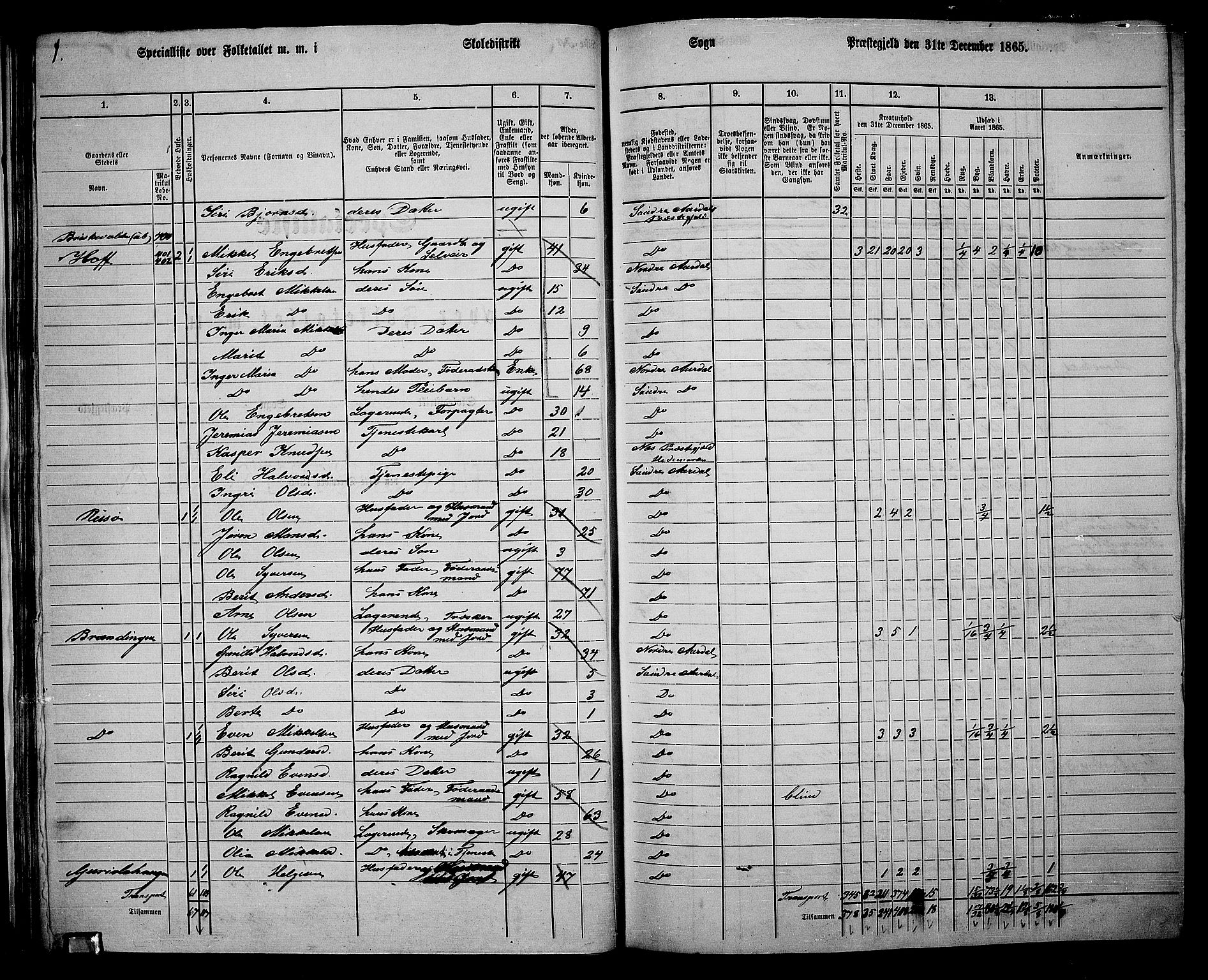 RA, 1865 census for Sør-Aurdal, 1865, p. 43