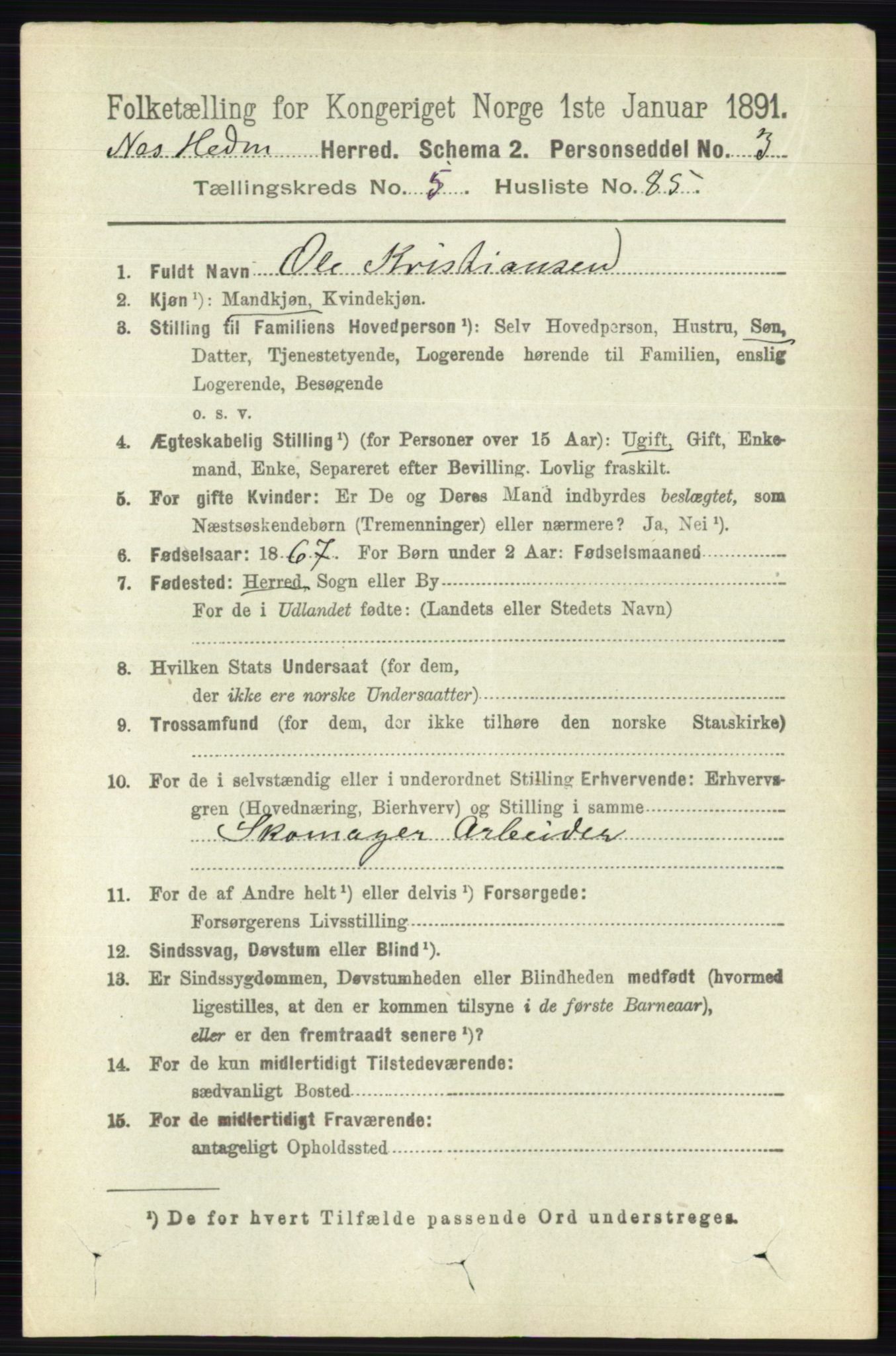 RA, 1891 census for 0411 Nes, 1891, p. 3160