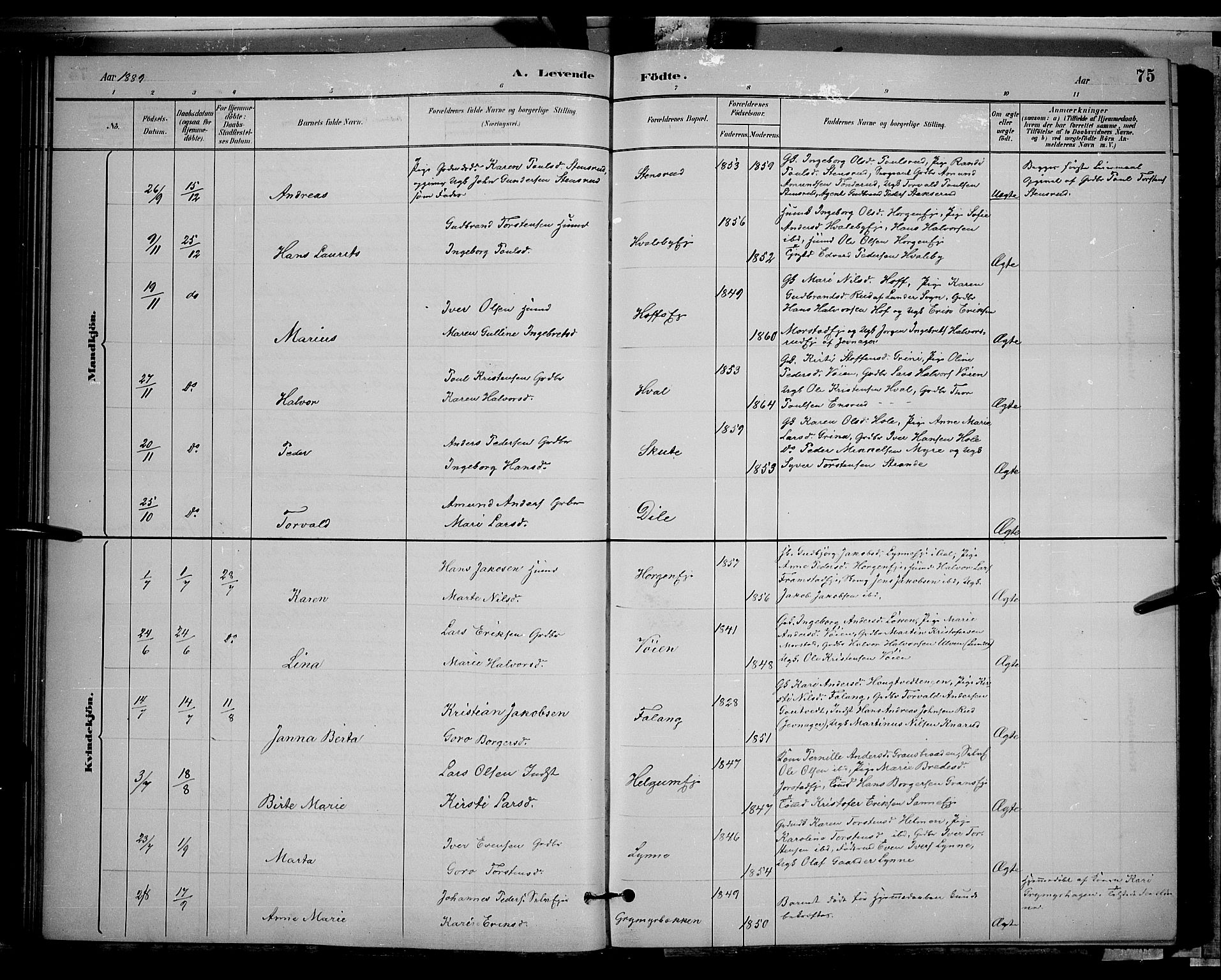 Gran prestekontor, SAH/PREST-112/H/Ha/Hab/L0002: Parish register (copy) no. 2, 1879-1892, p. 75