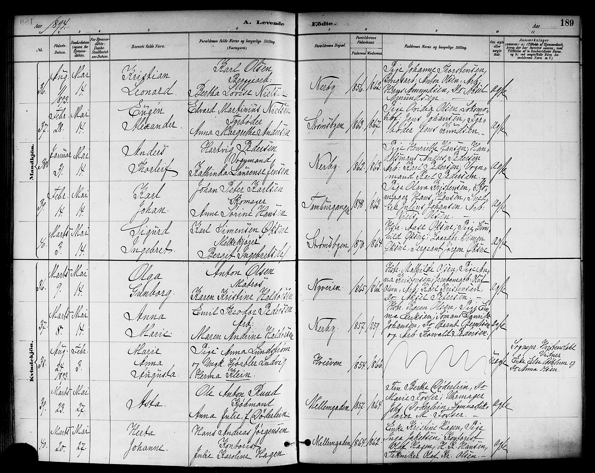 Strømsø kirkebøker, SAKO/A-246/F/Fa/L0023: Parish register (official) no. I 23, 1885-1894, p. 189