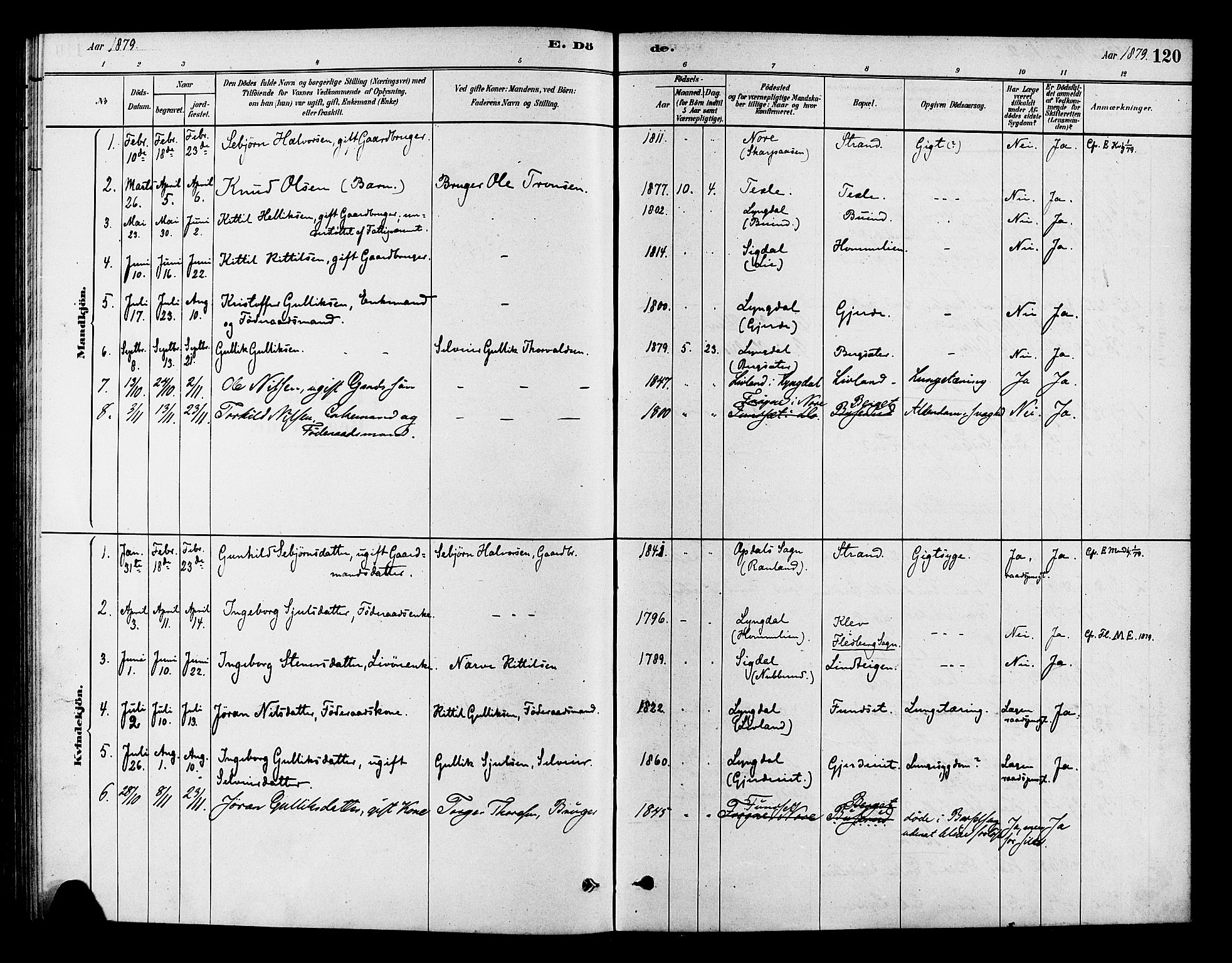 Flesberg kirkebøker, SAKO/A-18/F/Fc/L0001: Parish register (official) no. III 1, 1879-1905, p. 120