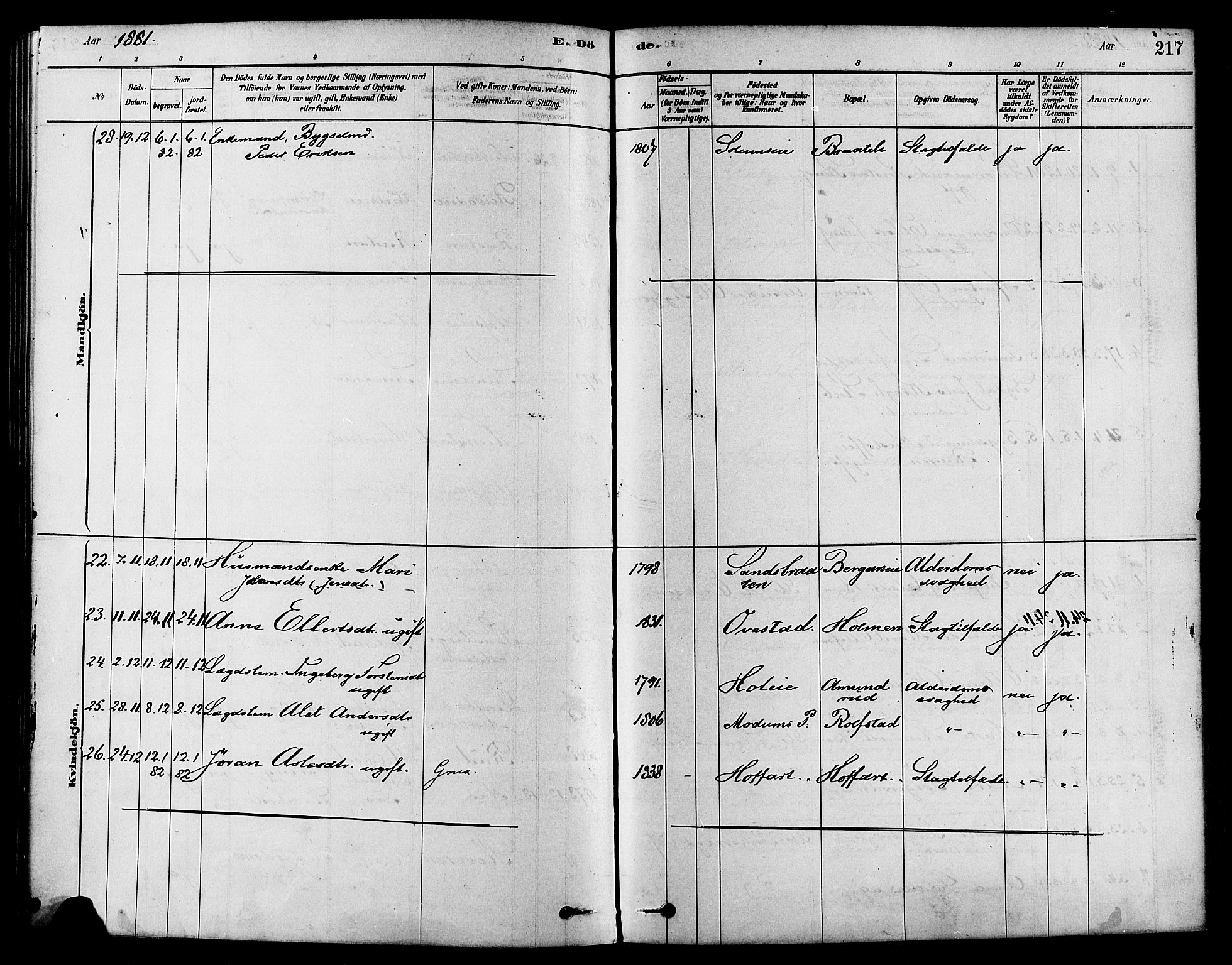 Sigdal kirkebøker, SAKO/A-245/F/Fa/L0011: Parish register (official) no. I 11, 1879-1887, p. 217