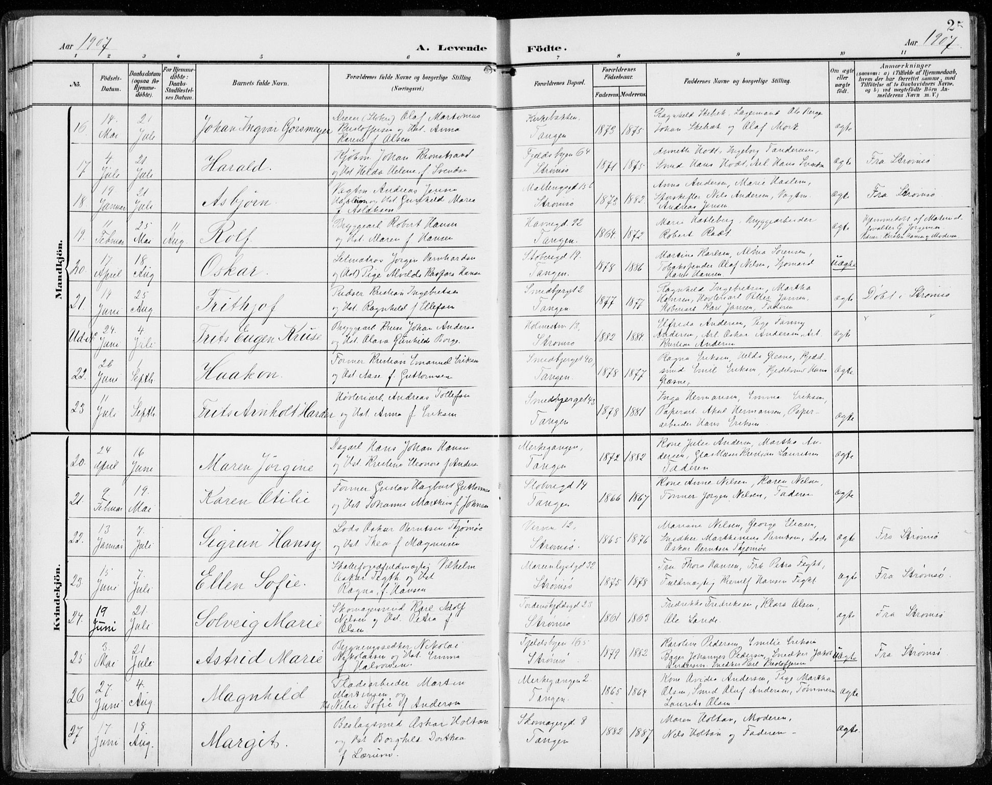 Strømsø kirkebøker, AV/SAKO-A-246/F/Fb/L0008: Parish register (official) no. II 8, 1902-1933, p. 25