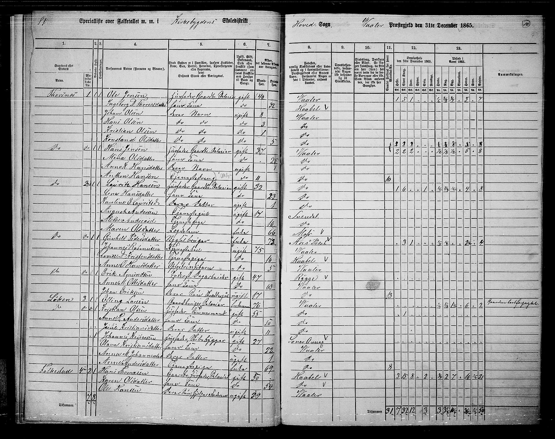 RA, 1865 census for Våler, 1865, p. 11