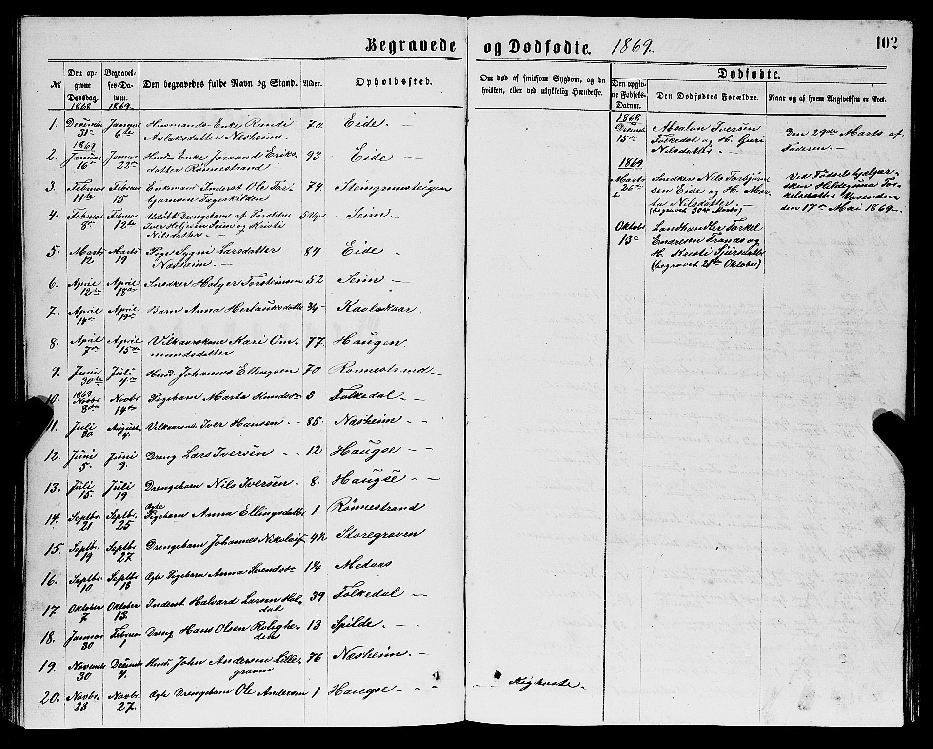 Ulvik sokneprestembete, SAB/A-78801/H/Hab: Parish register (copy) no. B 2, 1869-1883, p. 102