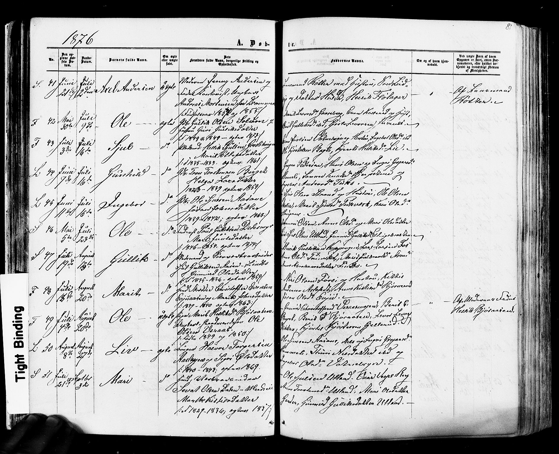 Flesberg kirkebøker, SAKO/A-18/F/Fa/L0007: Parish register (official) no. I 7, 1861-1878, p. 81