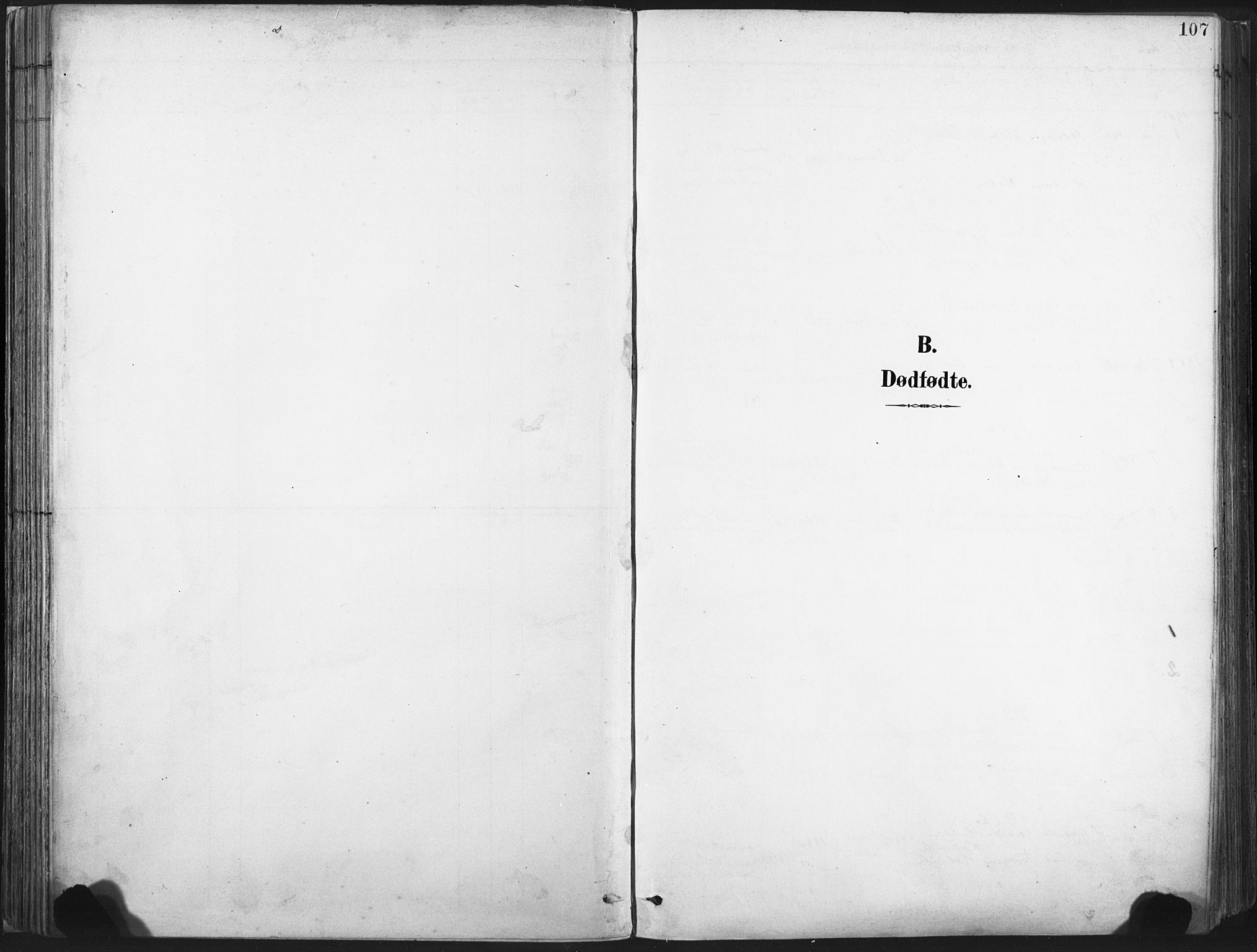 Ministerialprotokoller, klokkerbøker og fødselsregistre - Nord-Trøndelag, SAT/A-1458/717/L0162: Parish register (official) no. 717A12, 1898-1923, p. 107