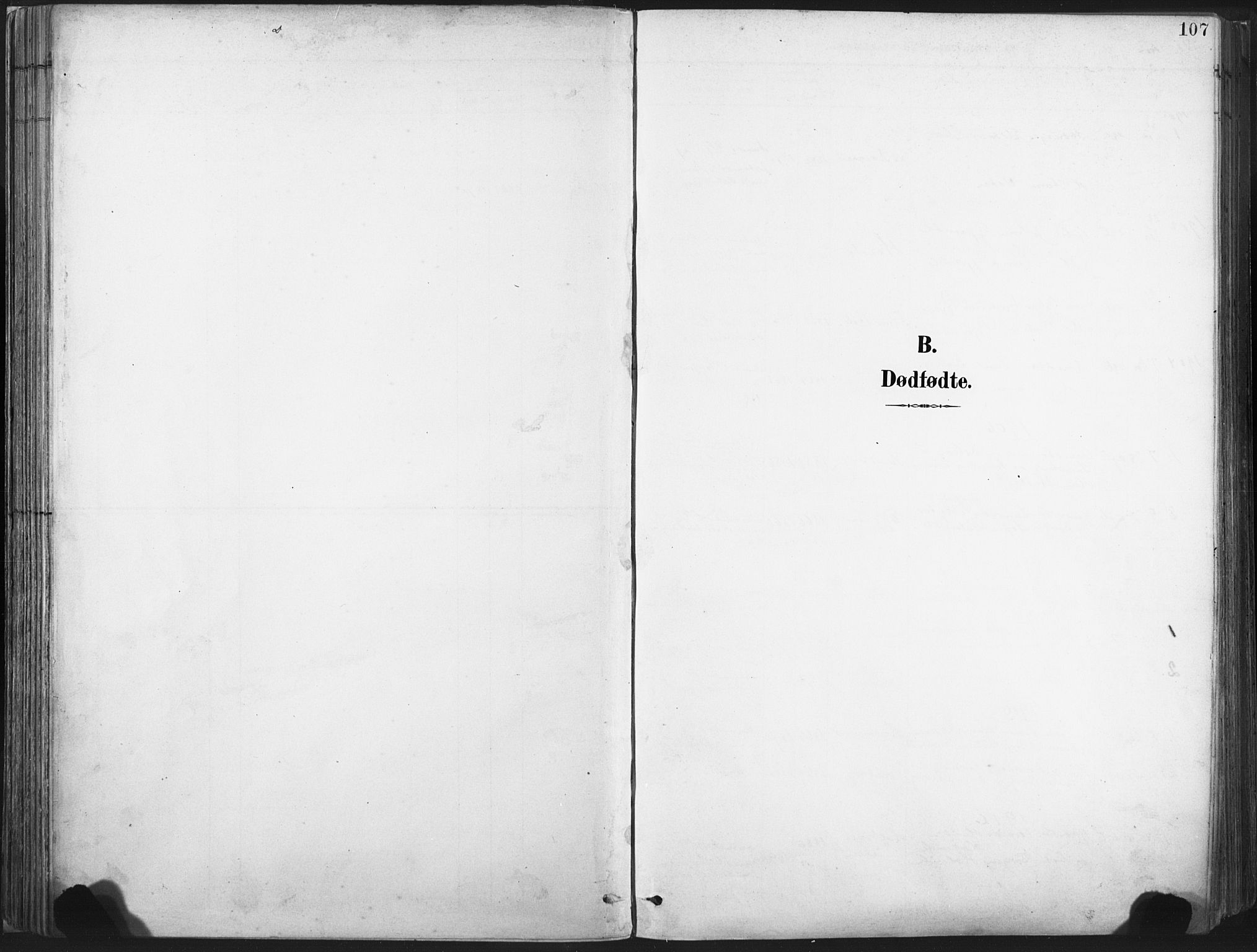 Ministerialprotokoller, klokkerbøker og fødselsregistre - Nord-Trøndelag, AV/SAT-A-1458/717/L0162: Parish register (official) no. 717A12, 1898-1923, p. 107