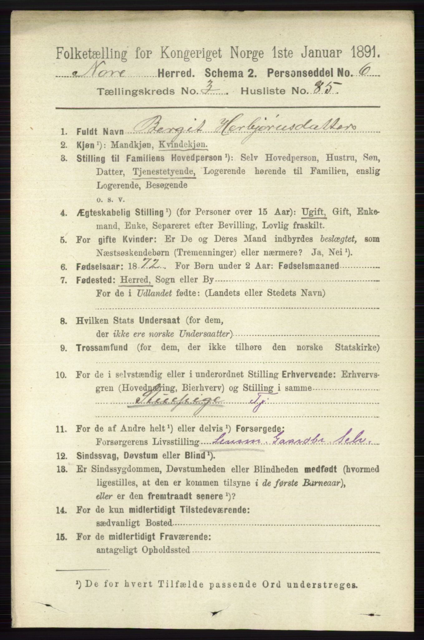 RA, 1891 census for 0633 Nore, 1891, p. 1213