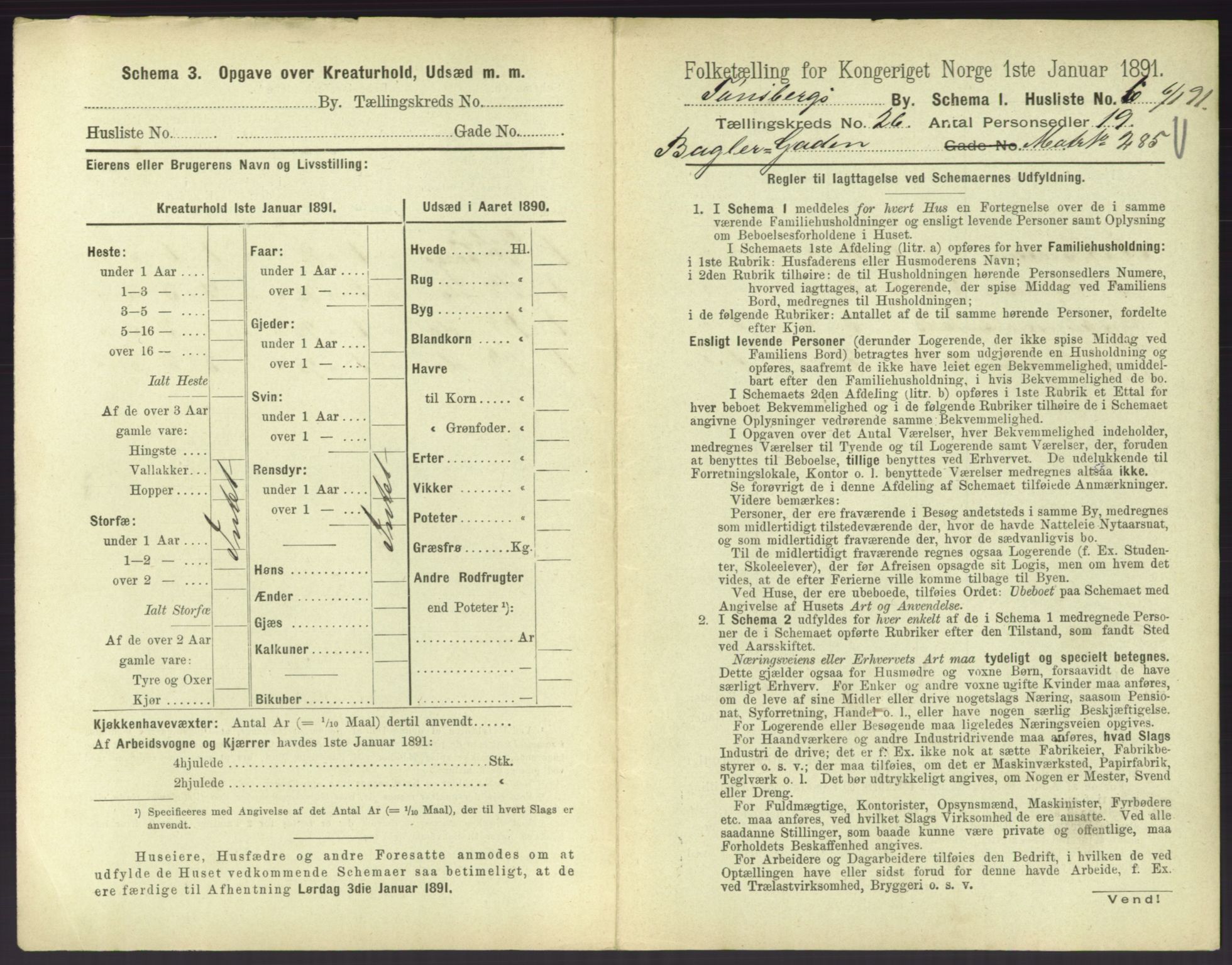 RA, 1891 census for 0705 Tønsberg, 1891, p. 828