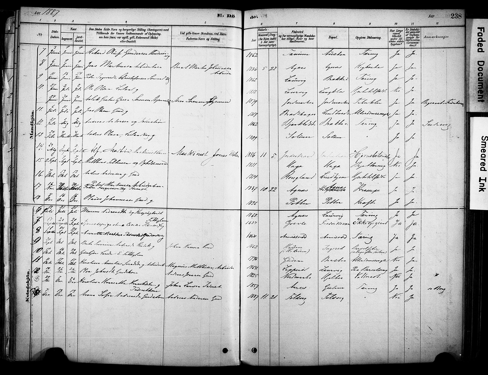 Brunlanes kirkebøker, AV/SAKO-A-342/F/Fc/L0001: Parish register (official) no. III 1, 1878-1899, p. 238