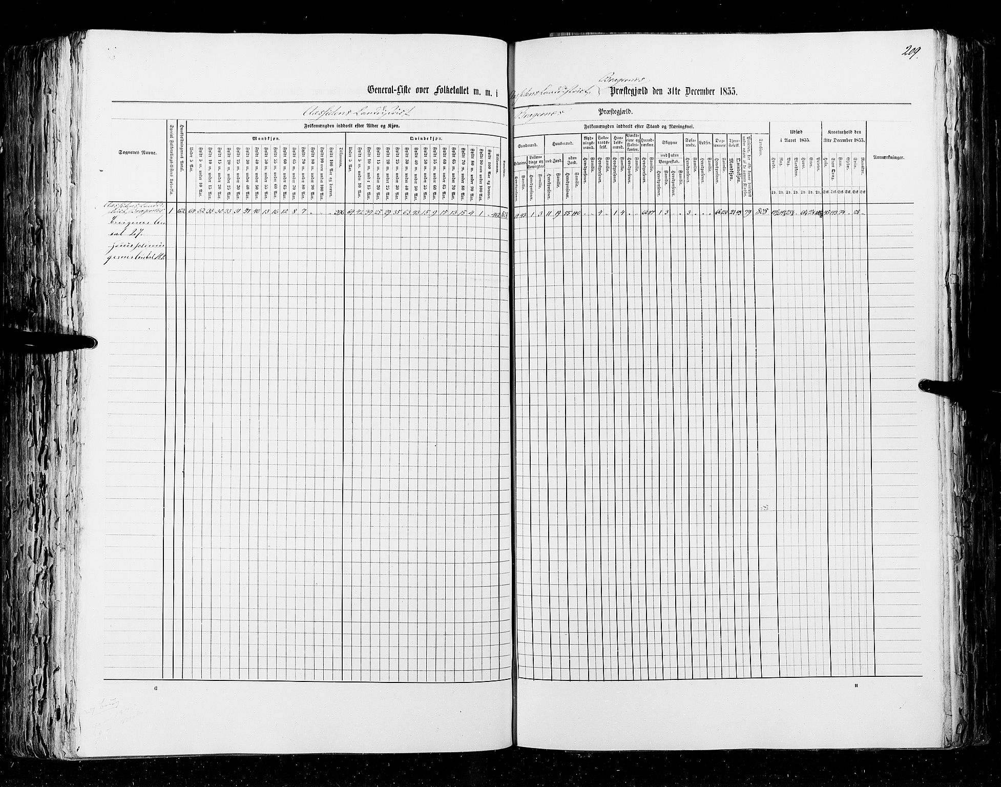 RA, Census 1855, vol. 2: Kristians amt, Buskerud amt og Jarlsberg og Larvik amt, 1855, p. 209