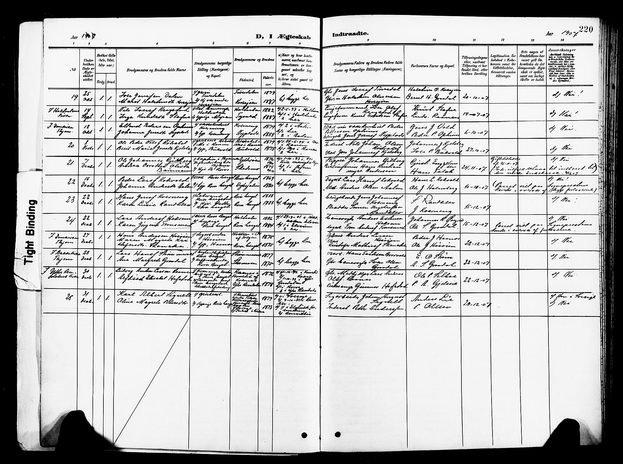 Ministerialprotokoller, klokkerbøker og fødselsregistre - Sør-Trøndelag, AV/SAT-A-1456/681/L0942: Parish register (copy) no. 681C06, 1906-1925, p. 220