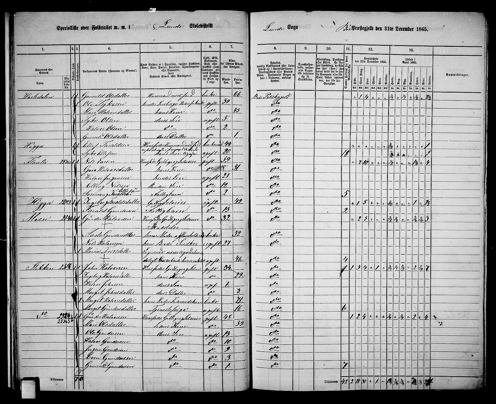 RA, 1865 census for Bø, 1865, p. 25