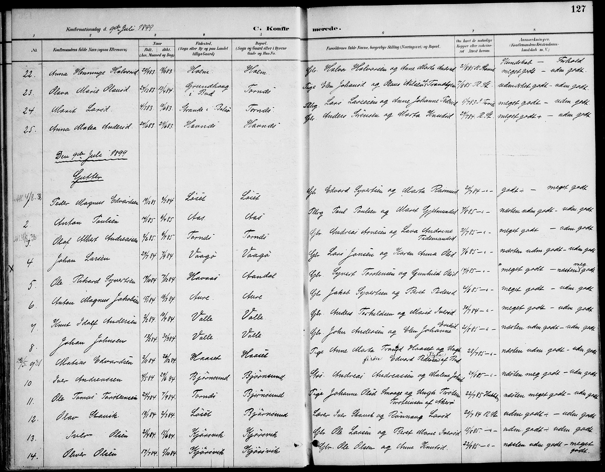 Ministerialprotokoller, klokkerbøker og fødselsregistre - Møre og Romsdal, AV/SAT-A-1454/565/L0750: Parish register (official) no. 565A04, 1887-1905, p. 127