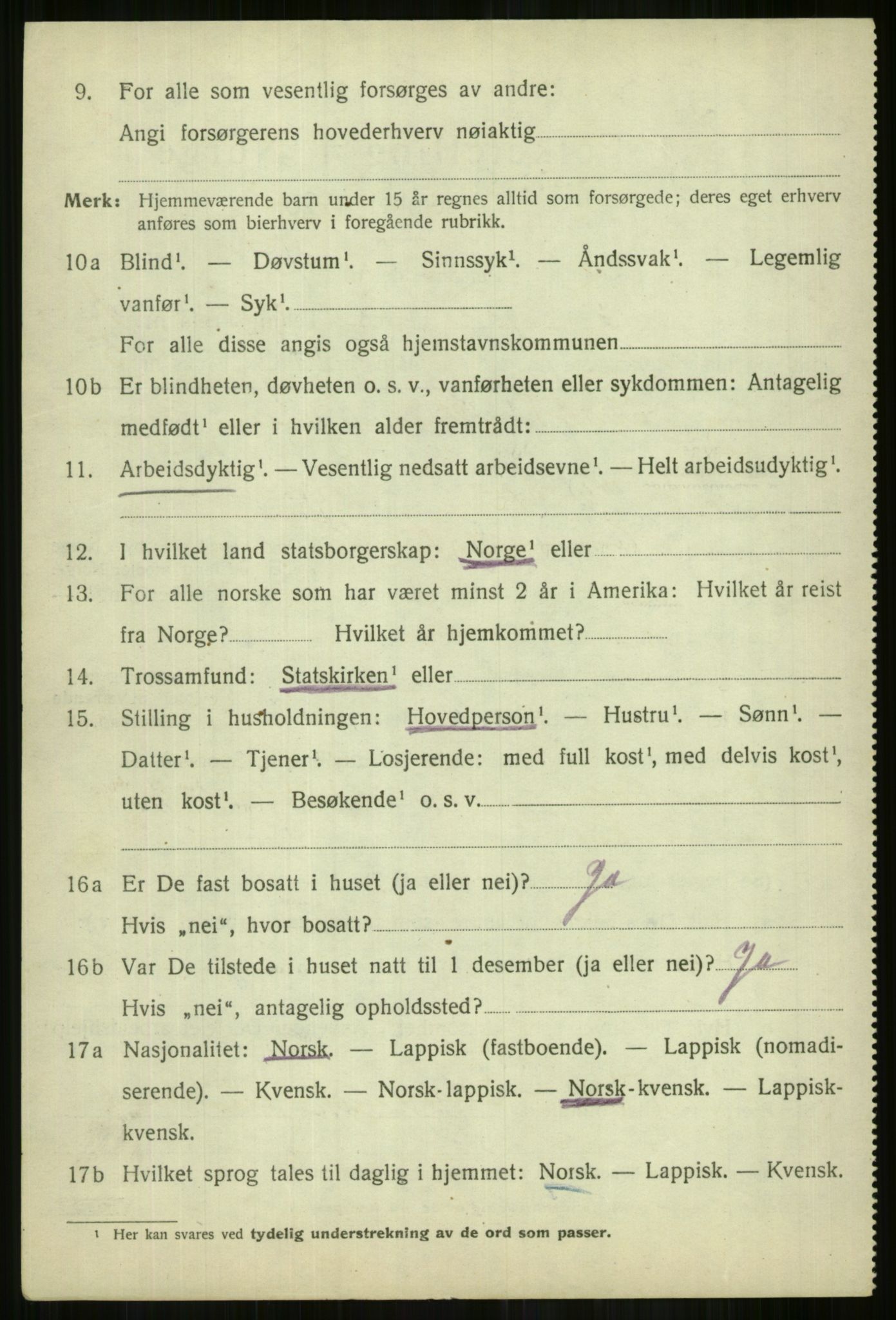 SATØ, 1920 census for Lyngen, 1920, p. 10370