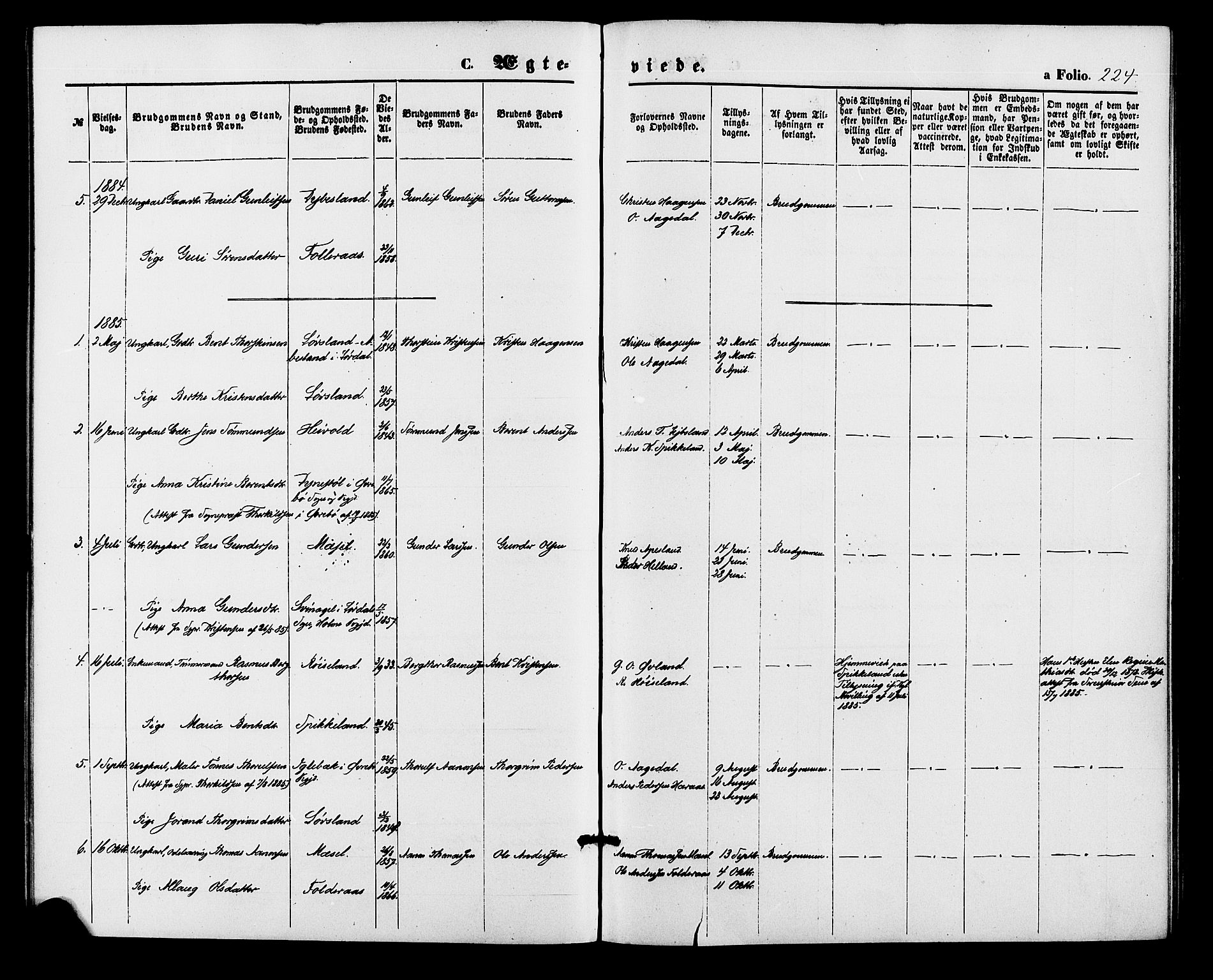 Bjelland sokneprestkontor, SAK/1111-0005/F/Fa/Fab/L0003: Parish register (official) no. A 3, 1870-1887, p. 224