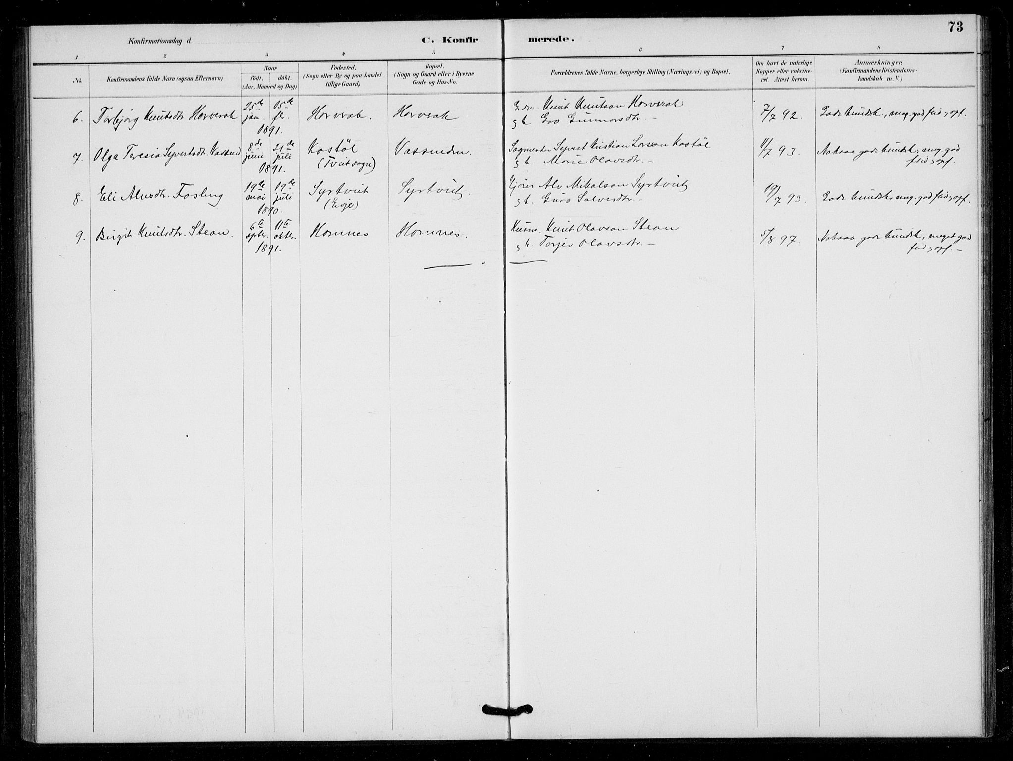 Bygland sokneprestkontor, AV/SAK-1111-0006/F/Fa/Fad/L0001: Parish register (official) no. A 1, 1885-1906, p. 73