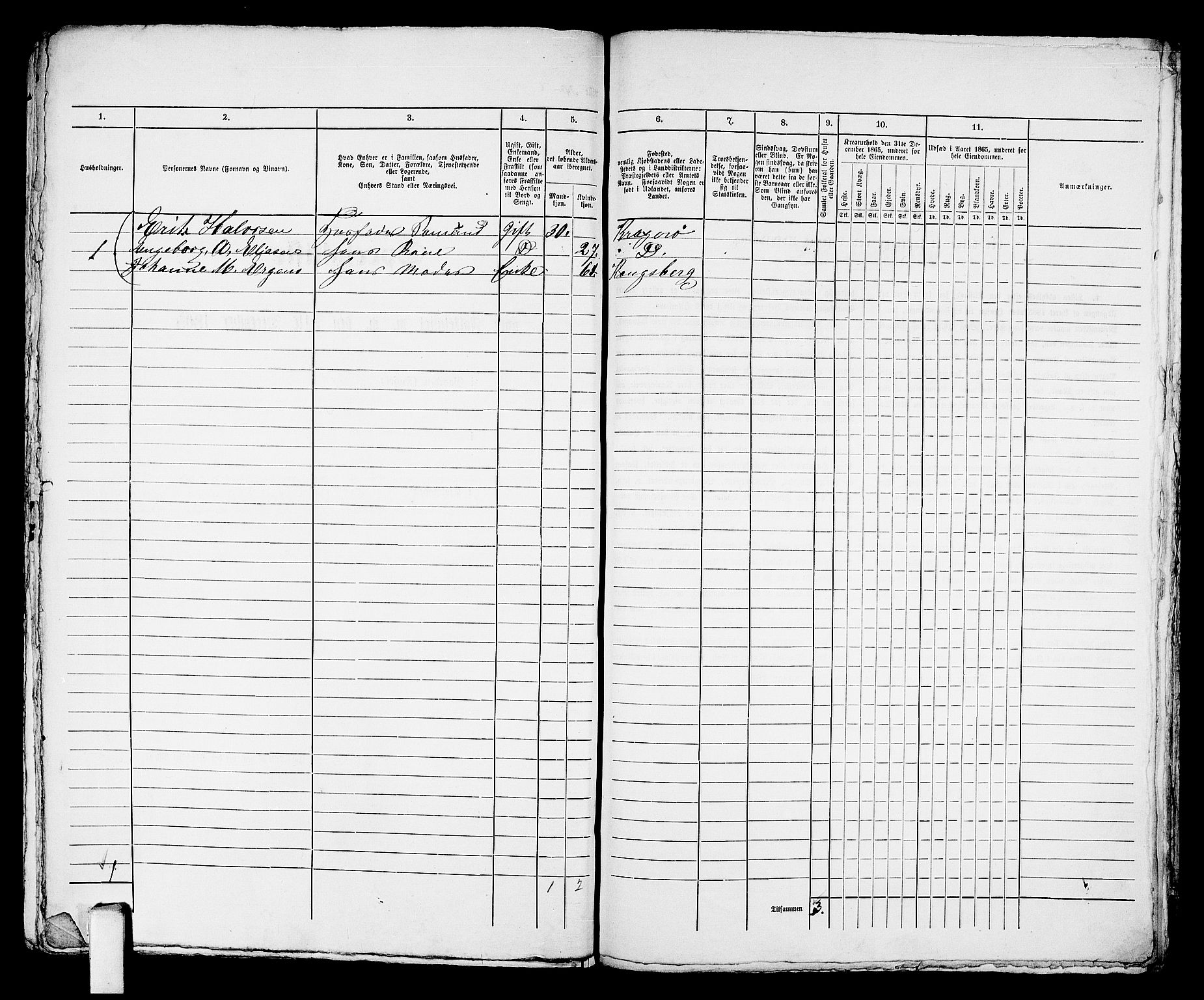 RA, 1865 census for Kragerø/Kragerø, 1865, p. 567