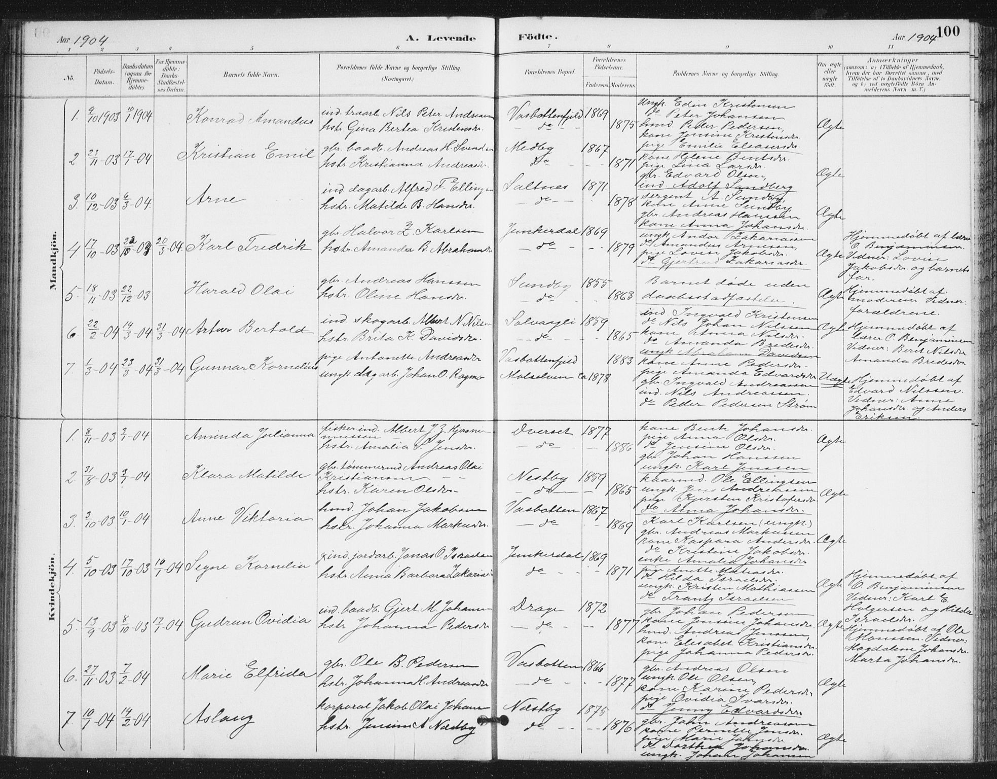 Ministerialprotokoller, klokkerbøker og fødselsregistre - Nordland, SAT/A-1459/847/L0682: Parish register (copy) no. 847C10, 1889-1907, p. 100