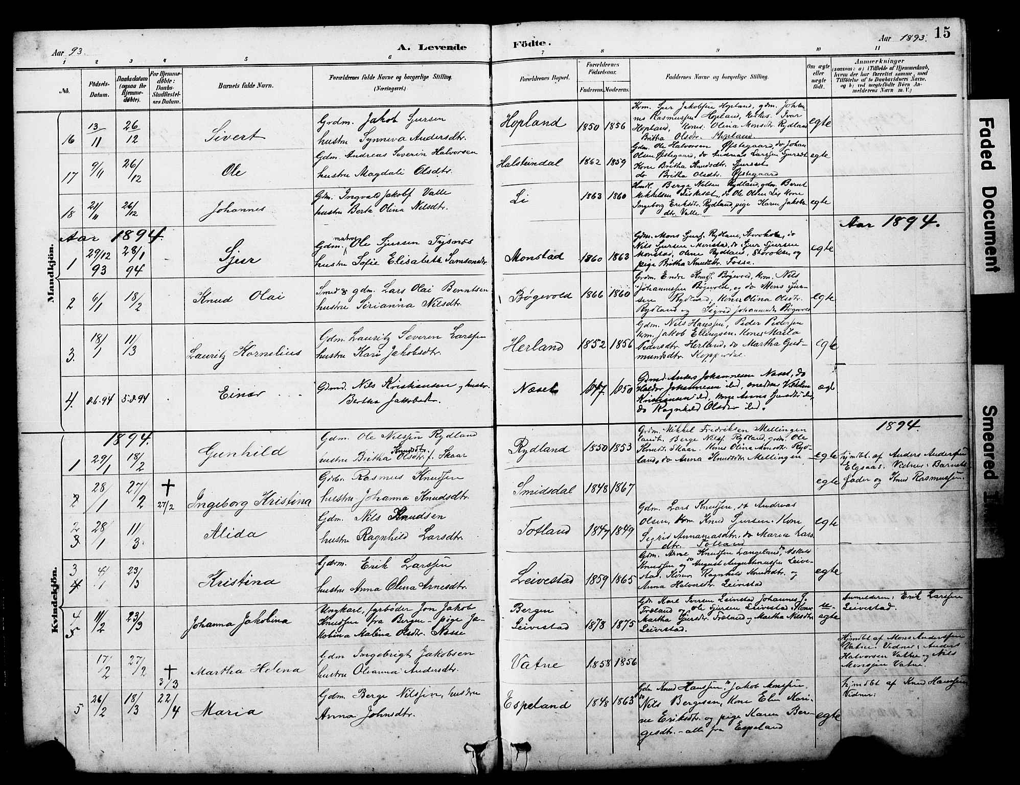 Alversund Sokneprestembete, SAB/A-73901/H/Ha/Hab: Parish register (copy) no. D 3, 1890-1908, p. 15