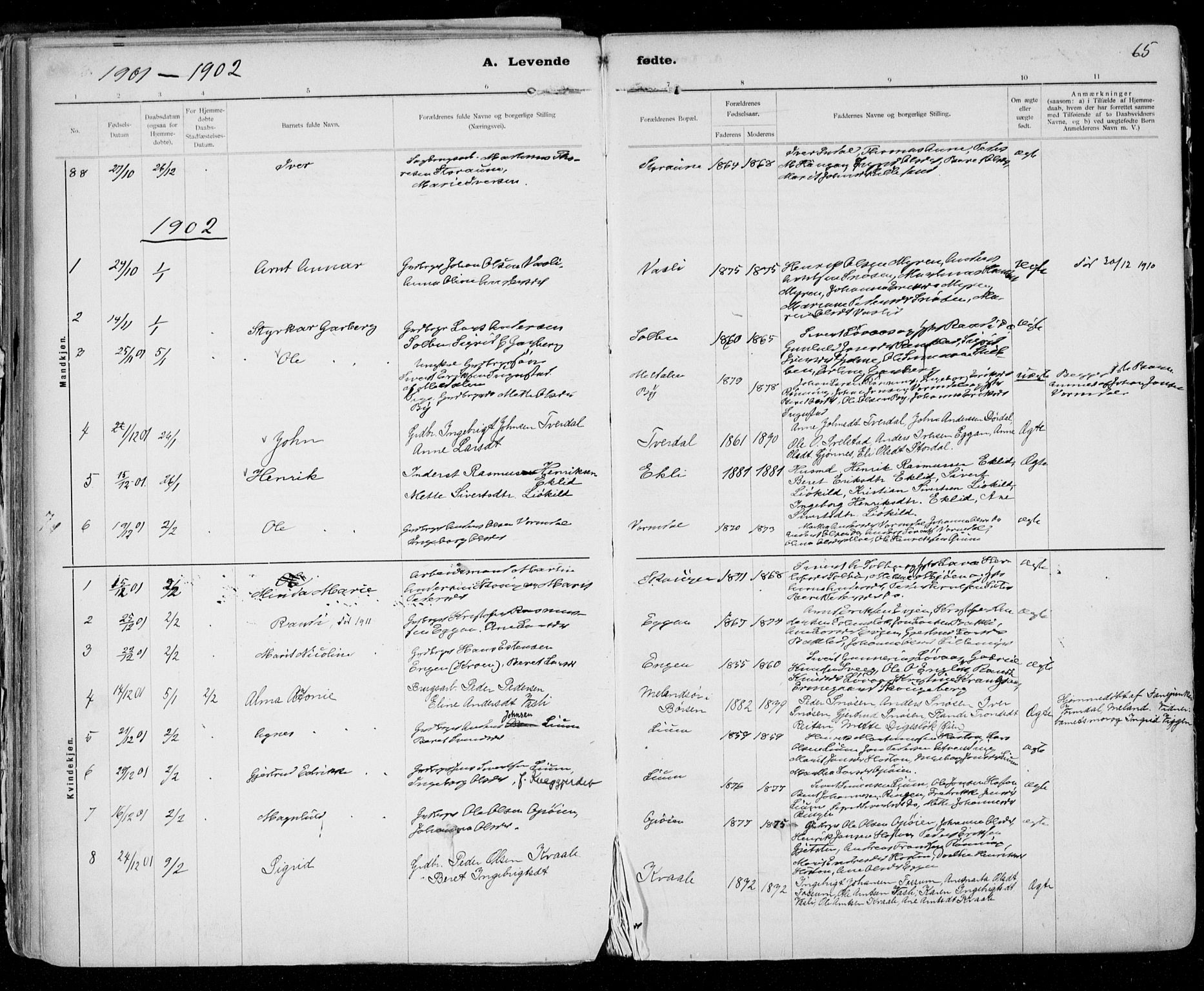 Ministerialprotokoller, klokkerbøker og fødselsregistre - Sør-Trøndelag, SAT/A-1456/668/L0811: Parish register (official) no. 668A11, 1894-1913, p. 65