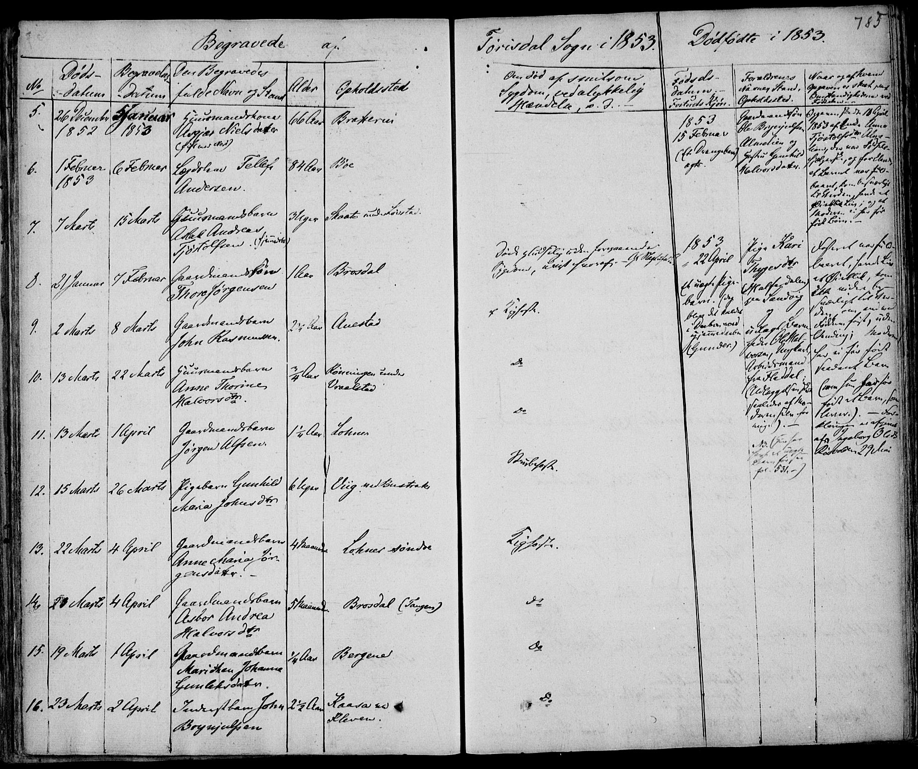 Drangedal kirkebøker, AV/SAKO-A-258/F/Fa/L0007b: Parish register (official) no. 7b, 1837-1856, p. 785