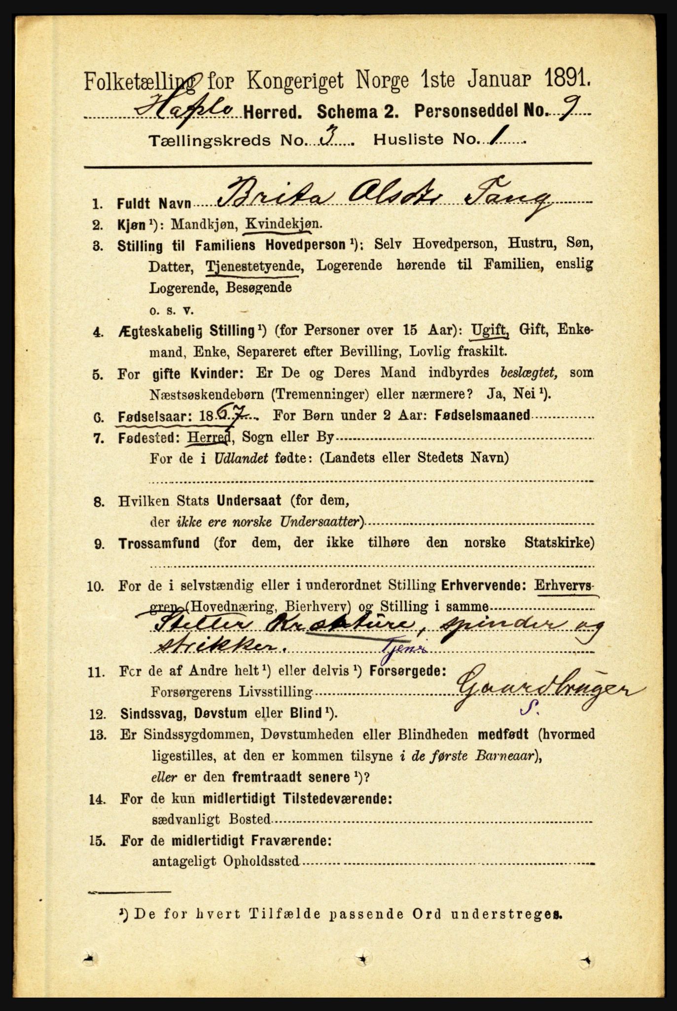 RA, 1891 census for 1425 Hafslo, 1891, p. 990