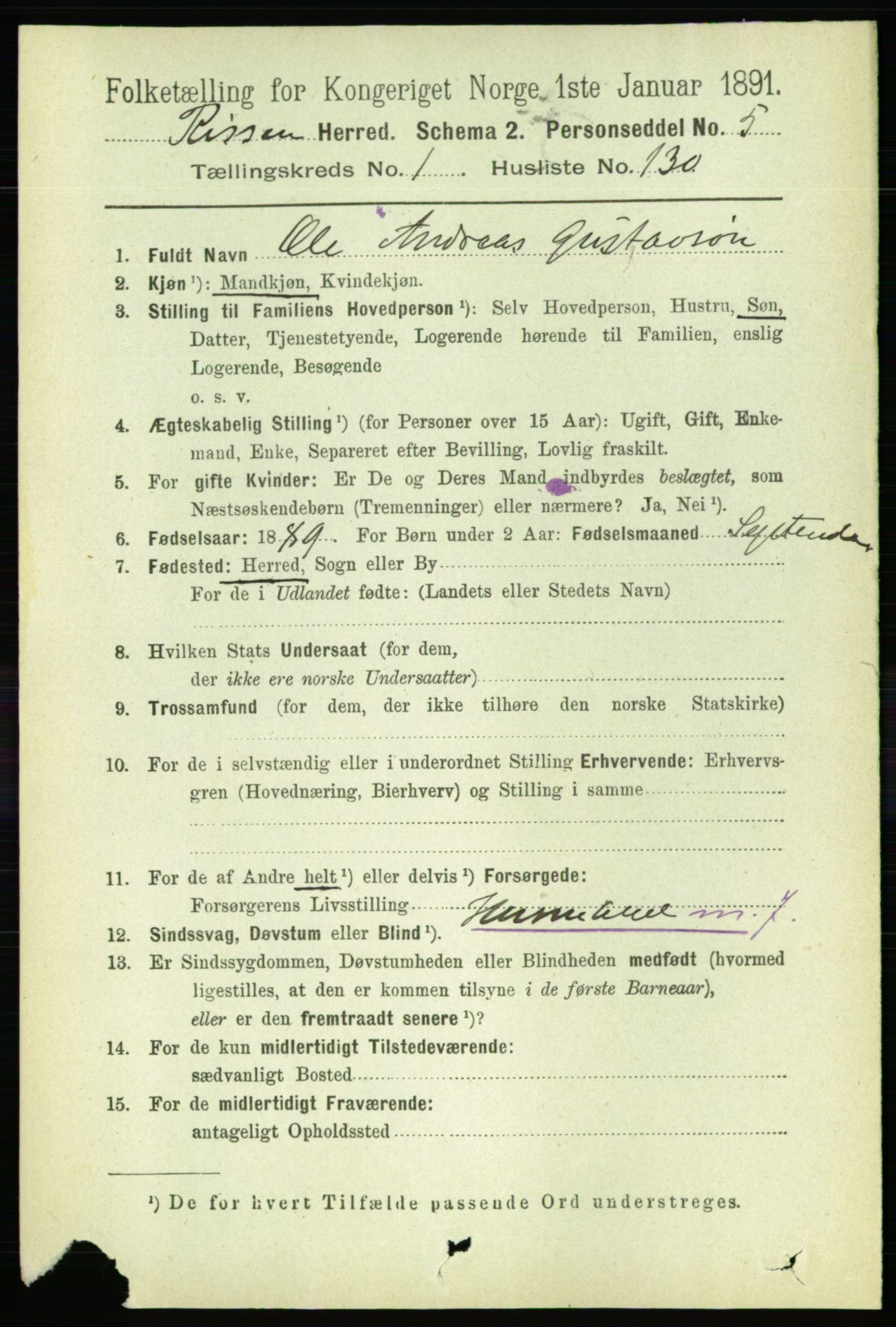 RA, 1891 census for 1624 Rissa, 1891, p. 1060