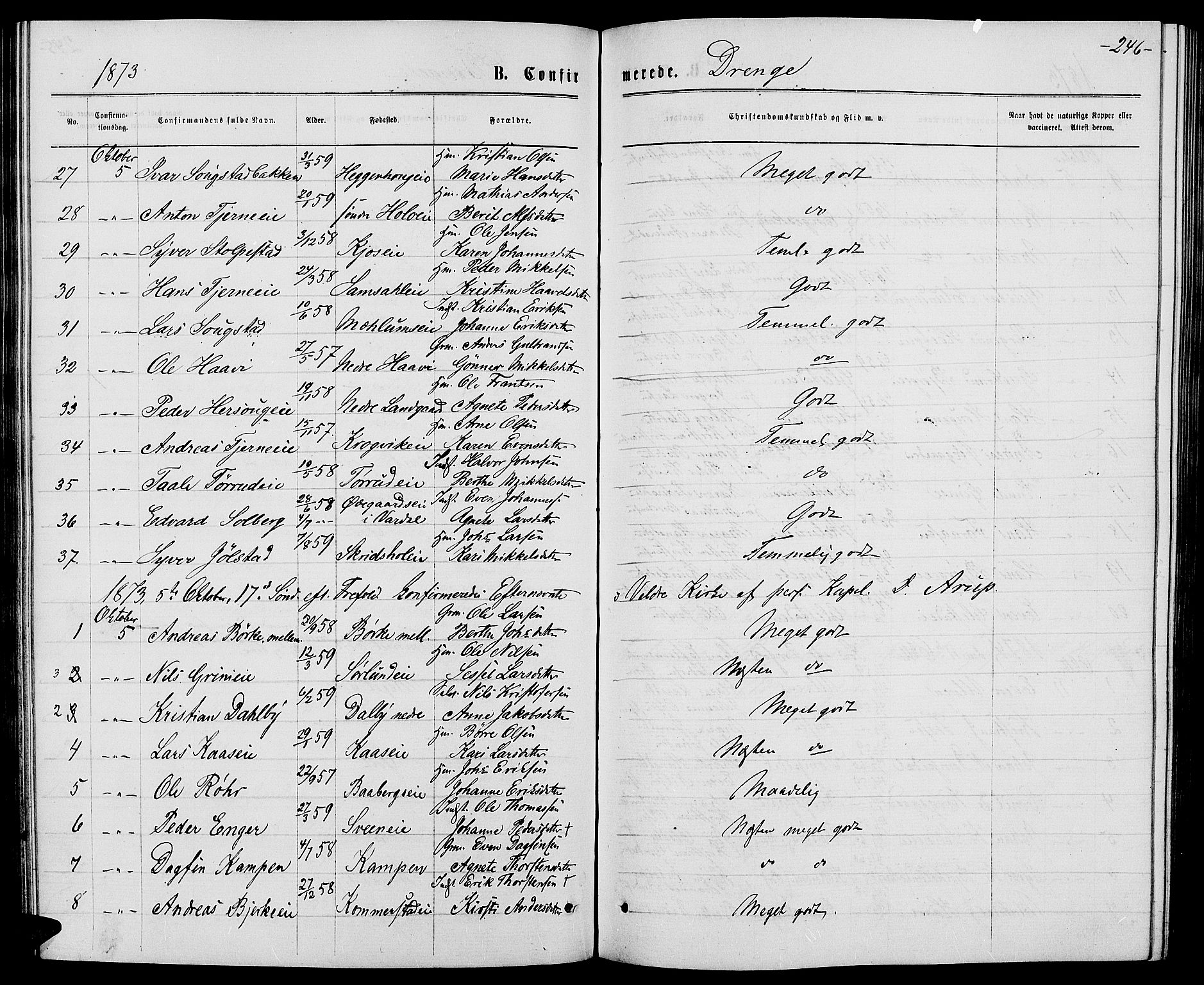 Ringsaker prestekontor, AV/SAH-PREST-014/L/La/L0008: Parish register (copy) no. 8, 1870-1878, p. 246