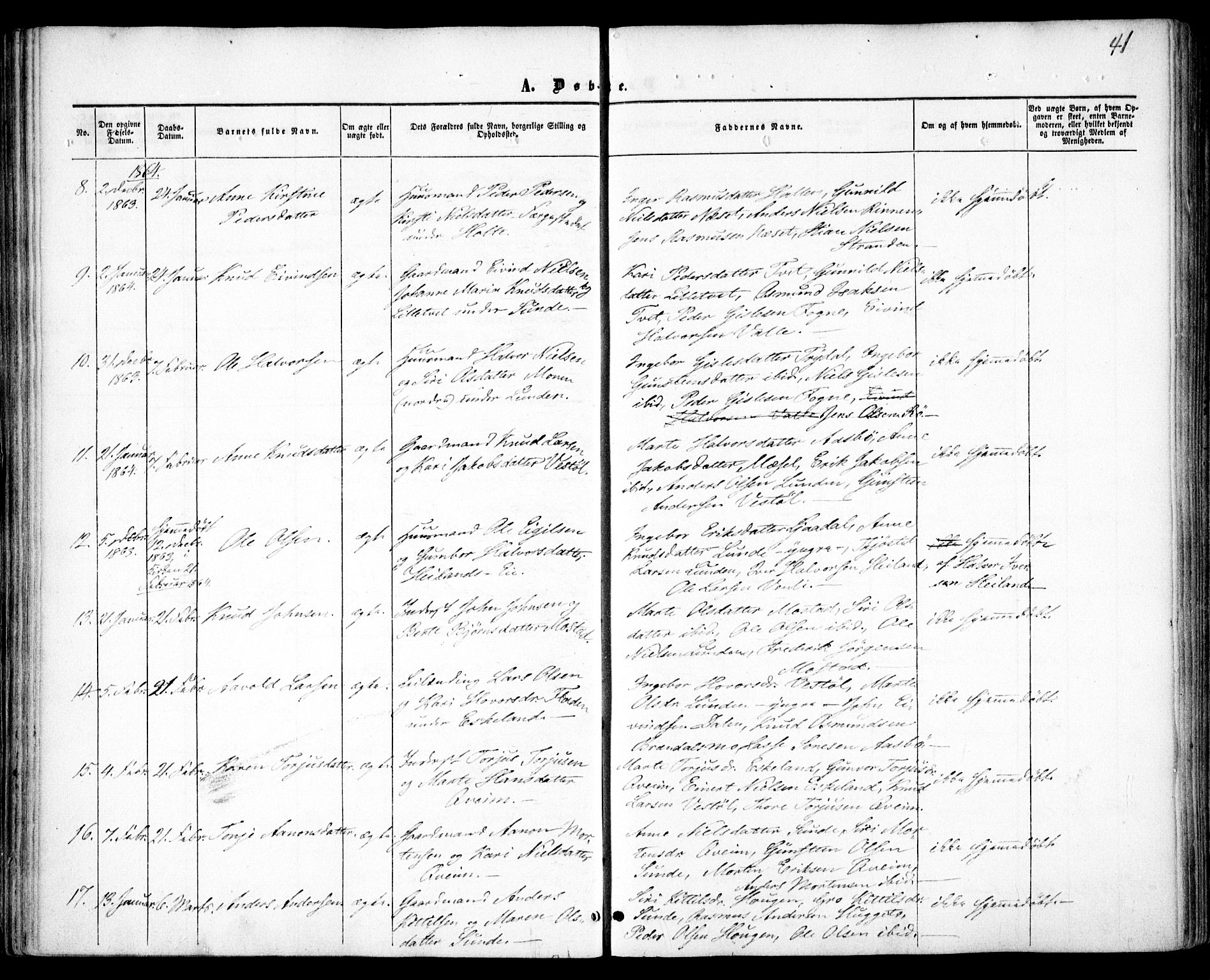 Gjerstad sokneprestkontor, AV/SAK-1111-0014/F/Fa/Faa/L0007: Parish register (official) no. A 7, 1858-1875, p. 41