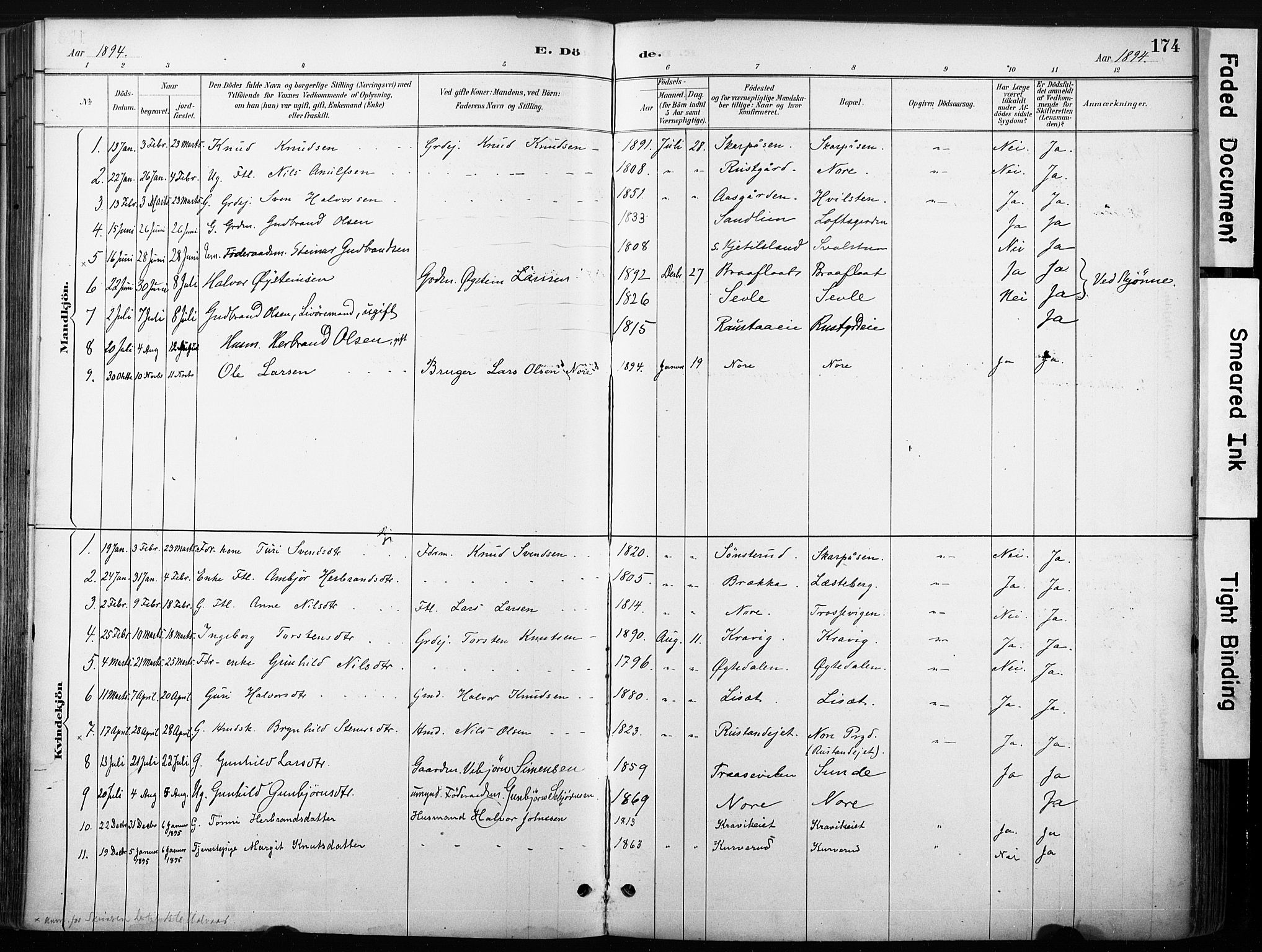 Nore kirkebøker, SAKO/A-238/F/Fb/L0002: Parish register (official) no. II 2, 1886-1906, p. 174