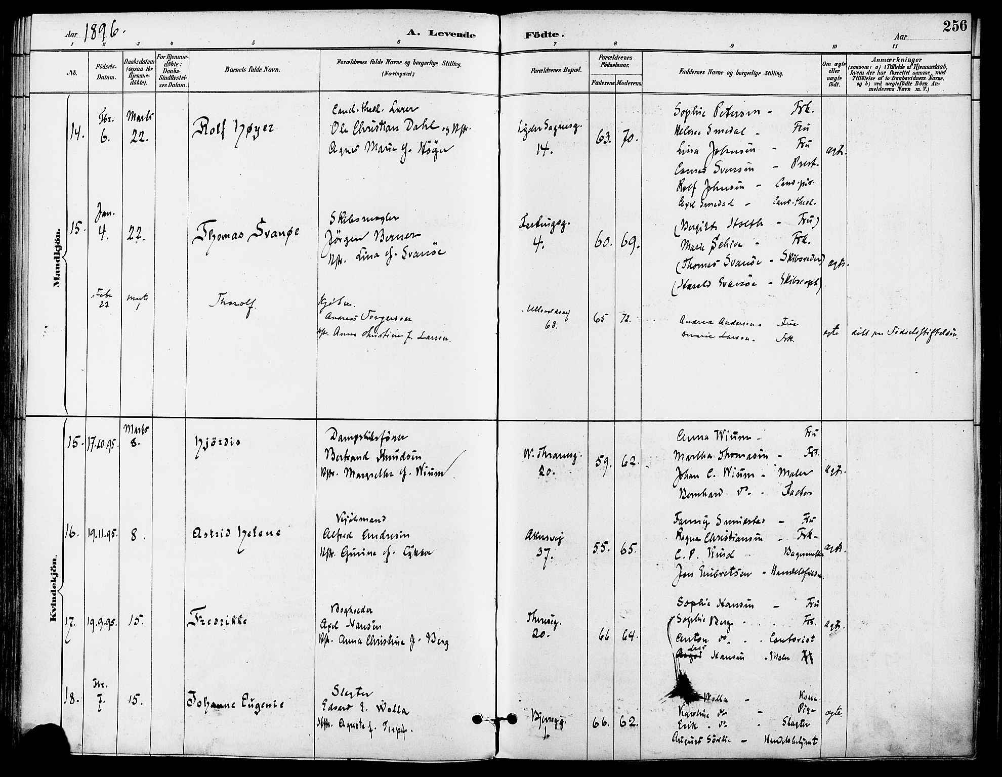 Gamle Aker prestekontor Kirkebøker, AV/SAO-A-10617a/F/L0008: Parish register (official) no. 8, 1887-1896, p. 256