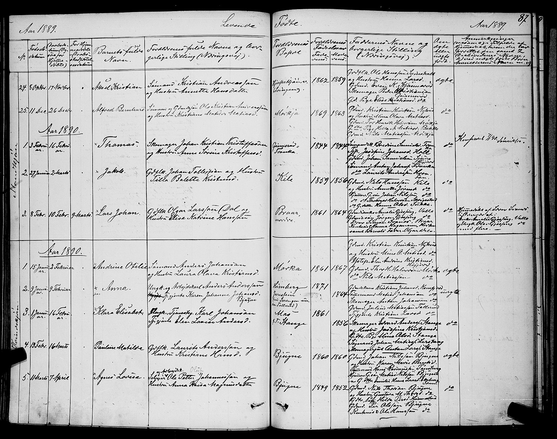 Ramnes kirkebøker, AV/SAKO-A-314/G/Ga/L0003: Parish register (copy) no. I 3, 1870-1896, p. 87