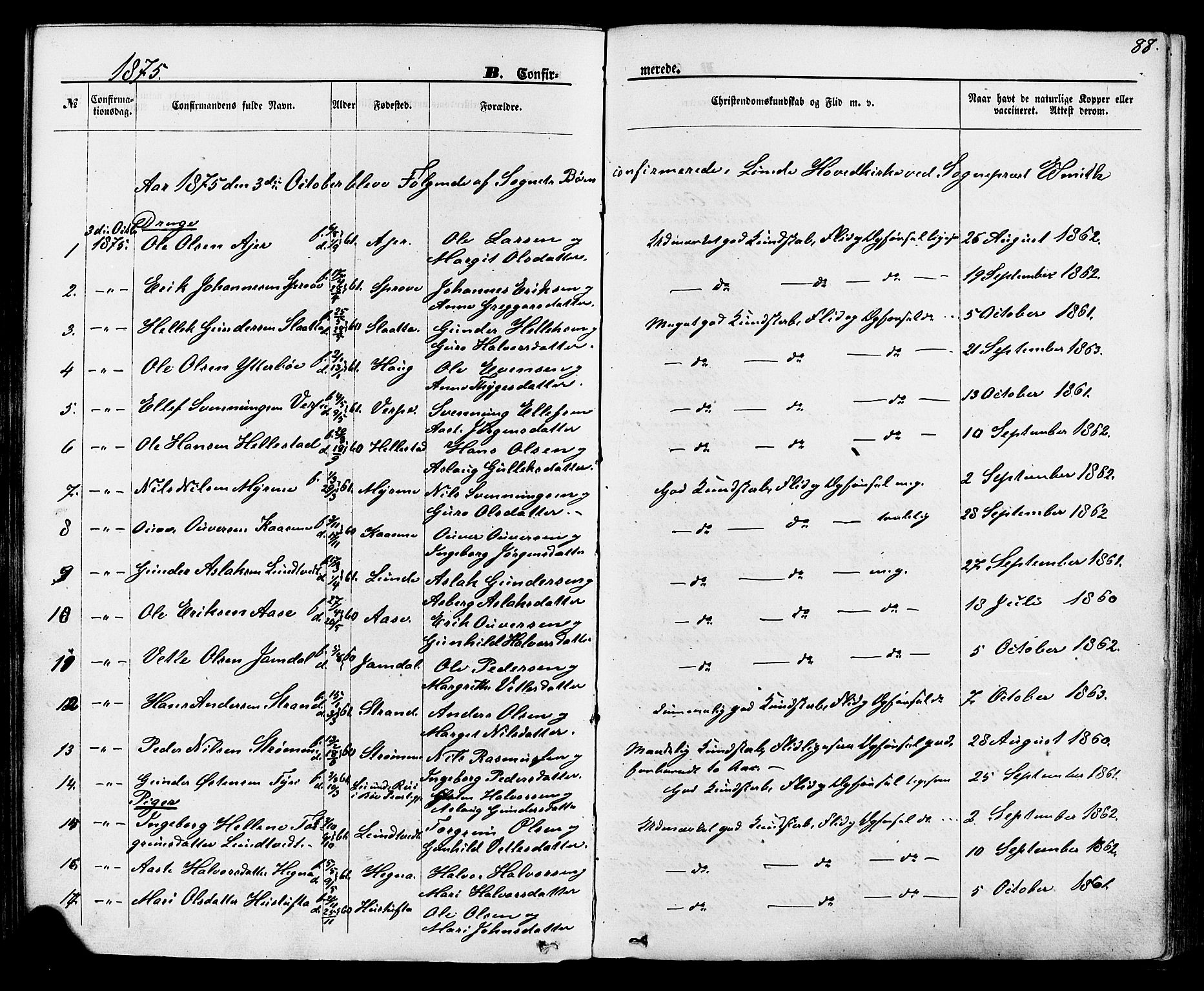 Lunde kirkebøker, SAKO/A-282/F/Fa/L0001: Parish register (official) no. I 1, 1866-1883, p. 88