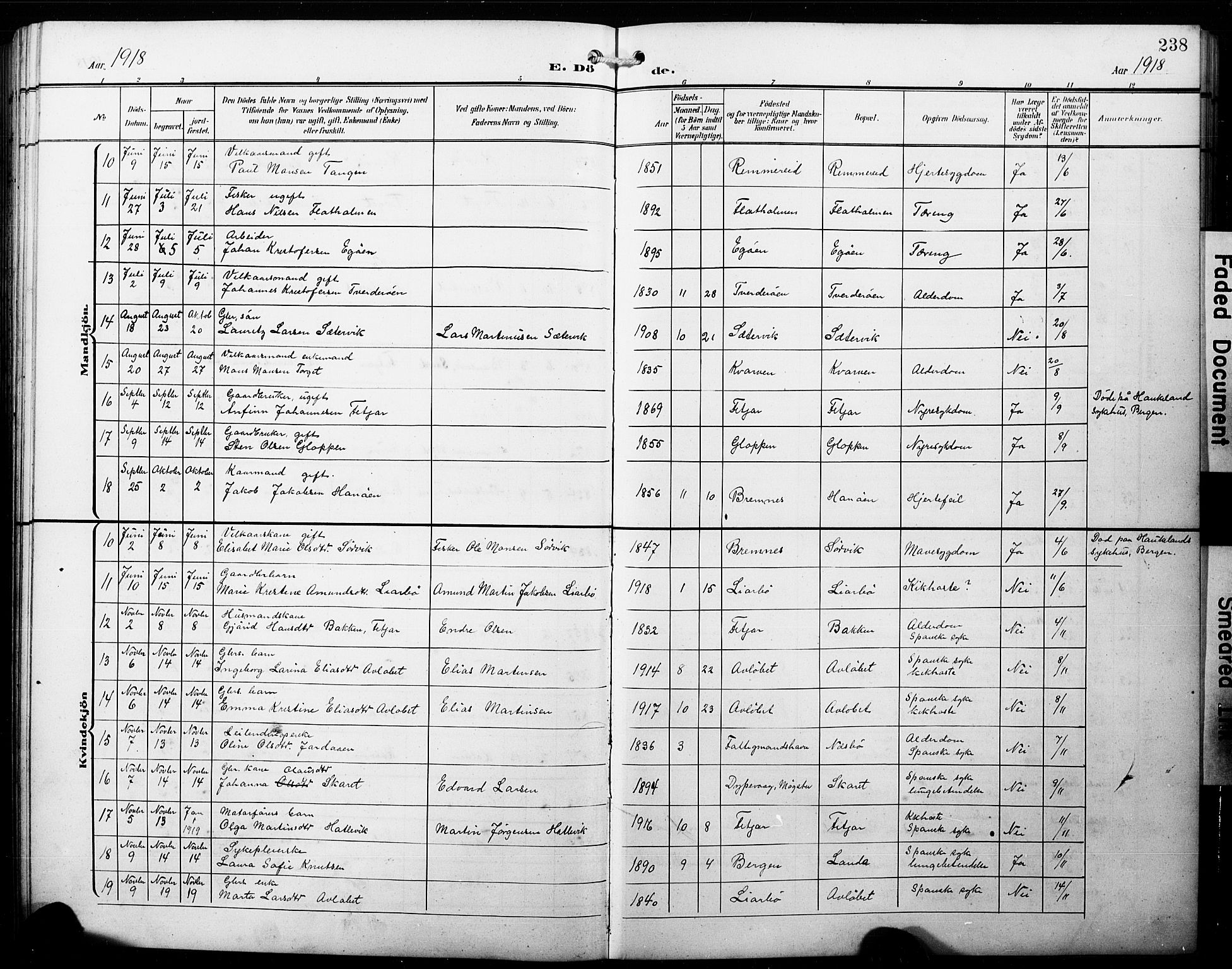 Fitjar sokneprestembete, SAB/A-99926: Parish register (copy) no. B 1, 1906-1928, p. 238