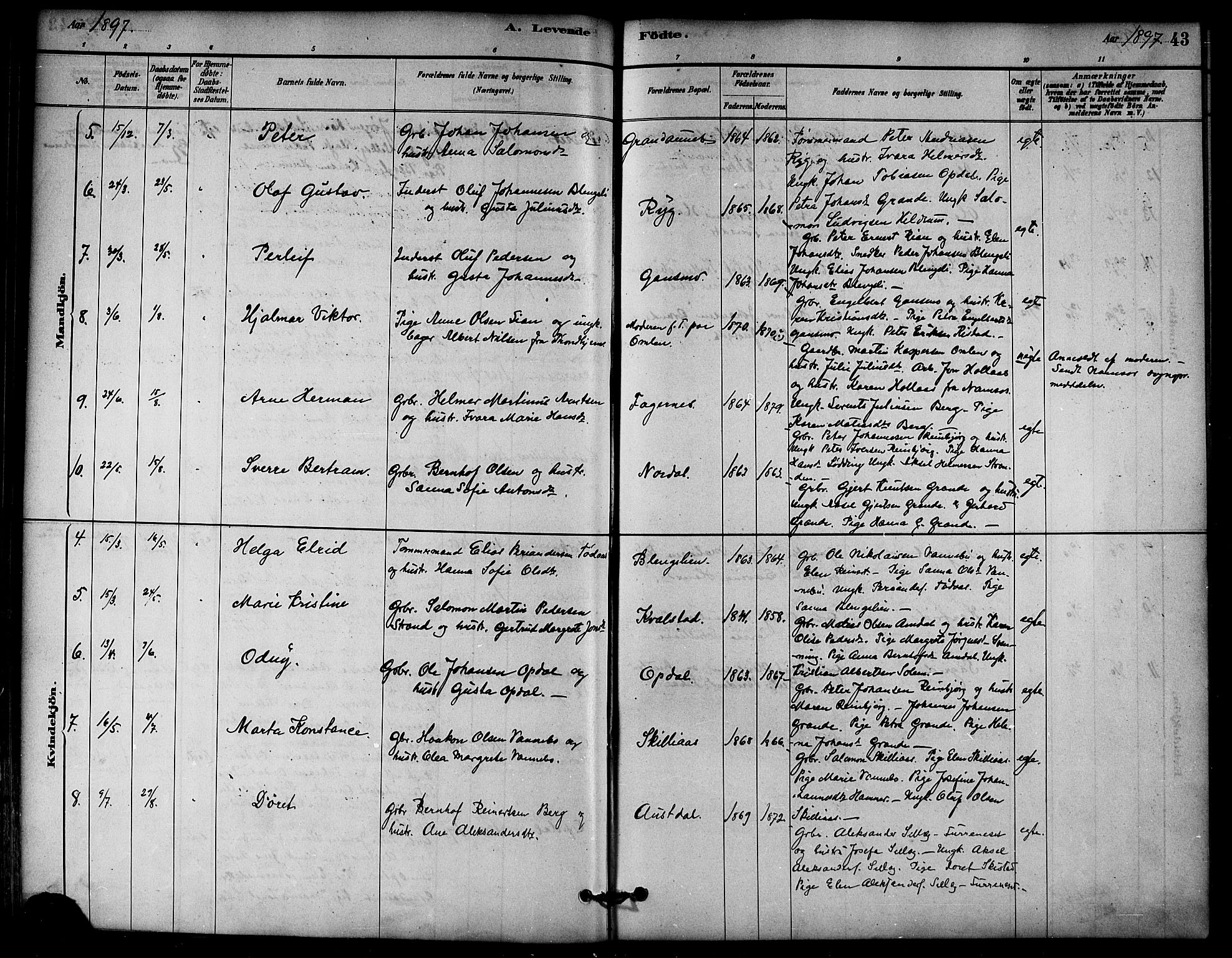 Ministerialprotokoller, klokkerbøker og fødselsregistre - Nord-Trøndelag, AV/SAT-A-1458/766/L0563: Parish register (official) no. 767A01, 1881-1899, p. 43