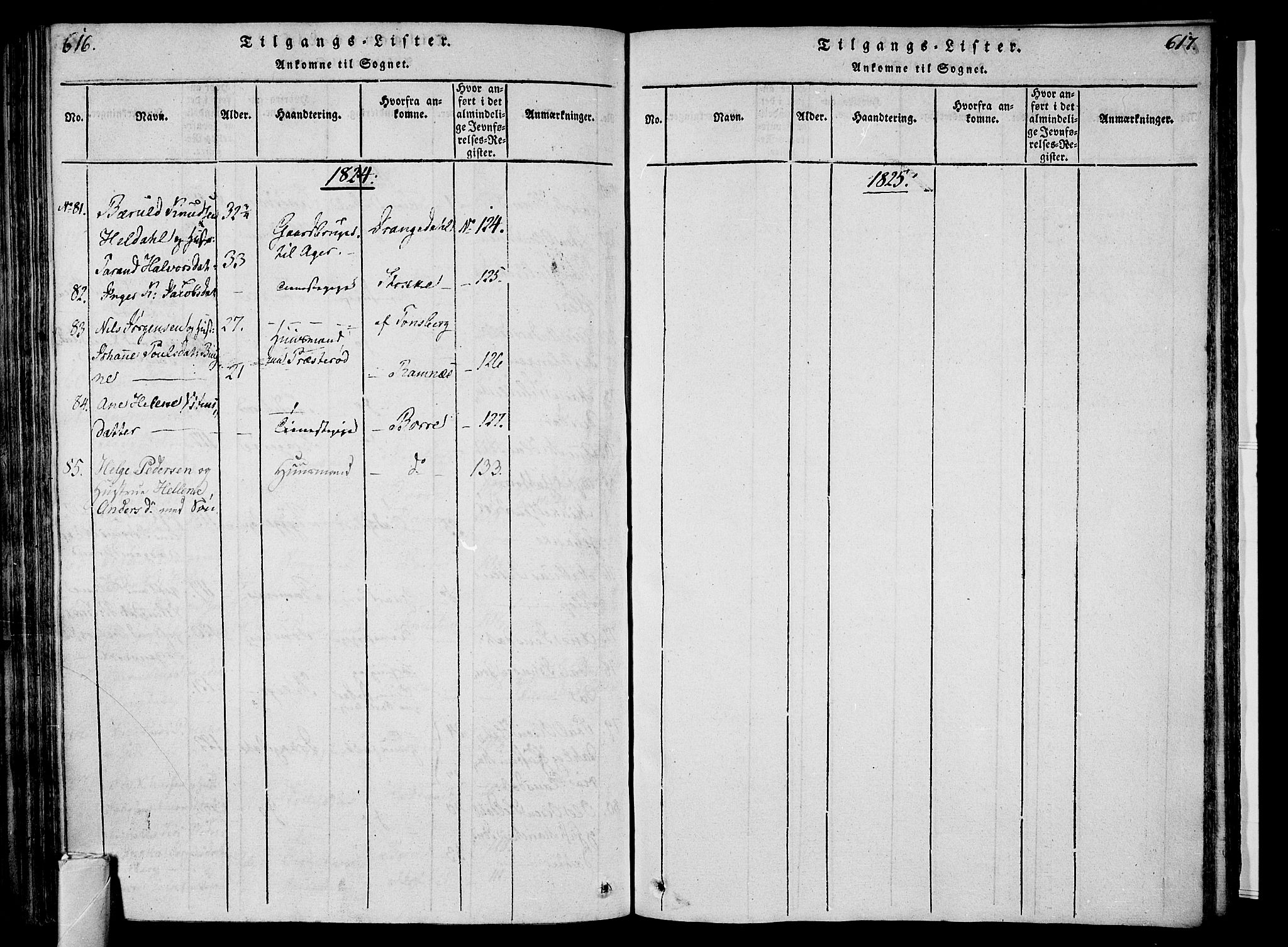 Sem kirkebøker, AV/SAKO-A-5/F/Fa/L0004: Parish register (official) no. I 4, 1814-1825, p. 616-617